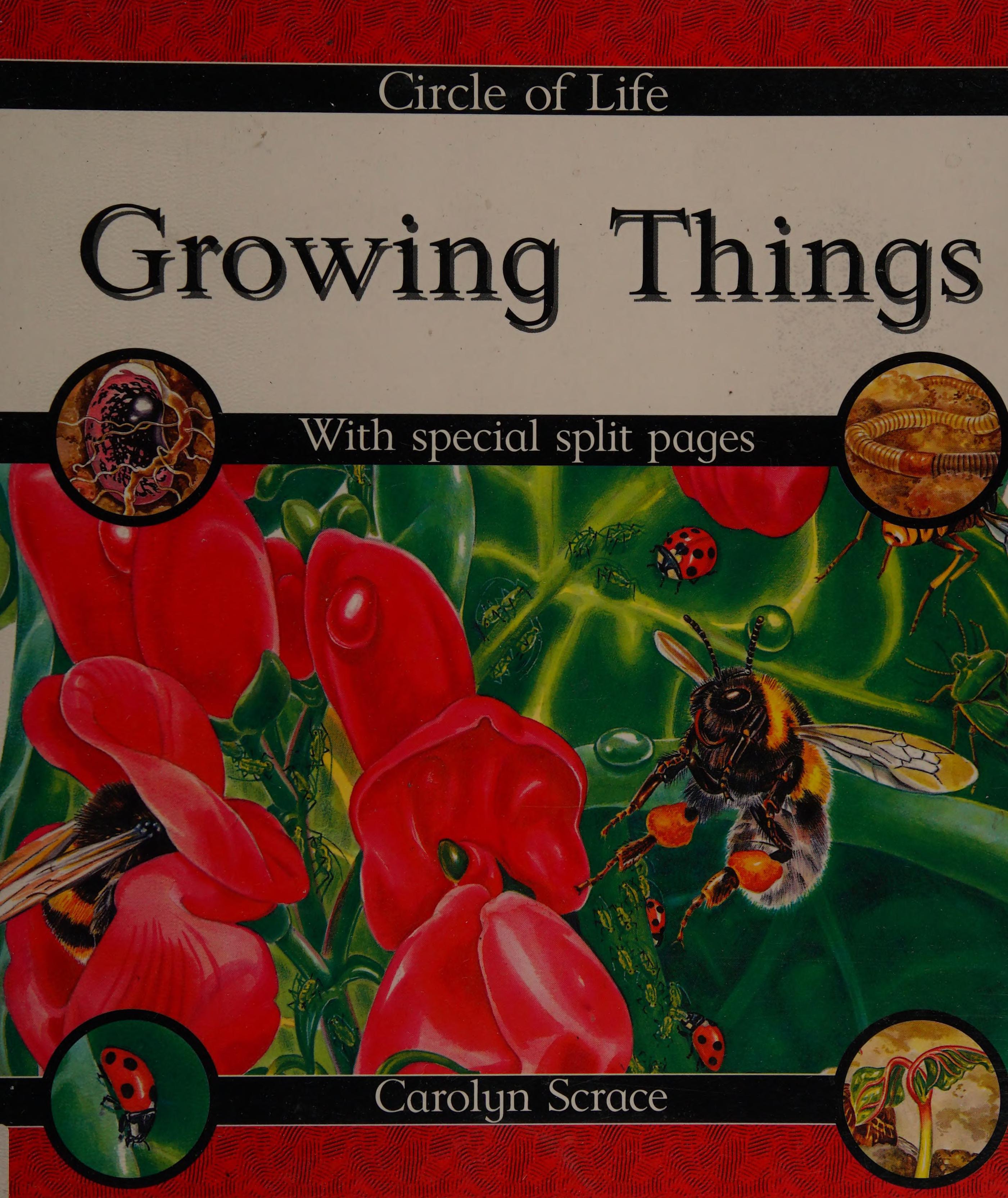 Circle Of Life: Growing Things
