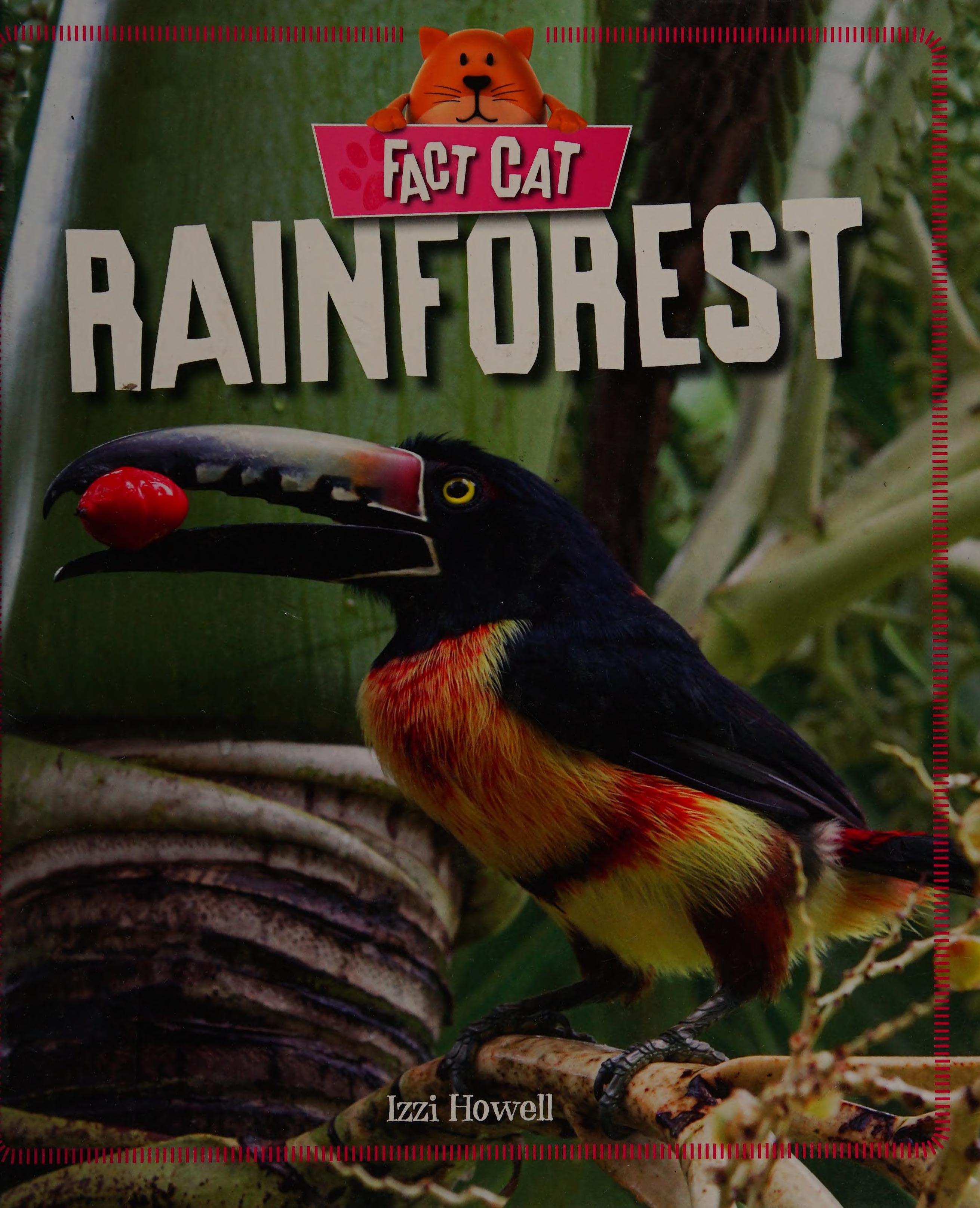 Rainforest