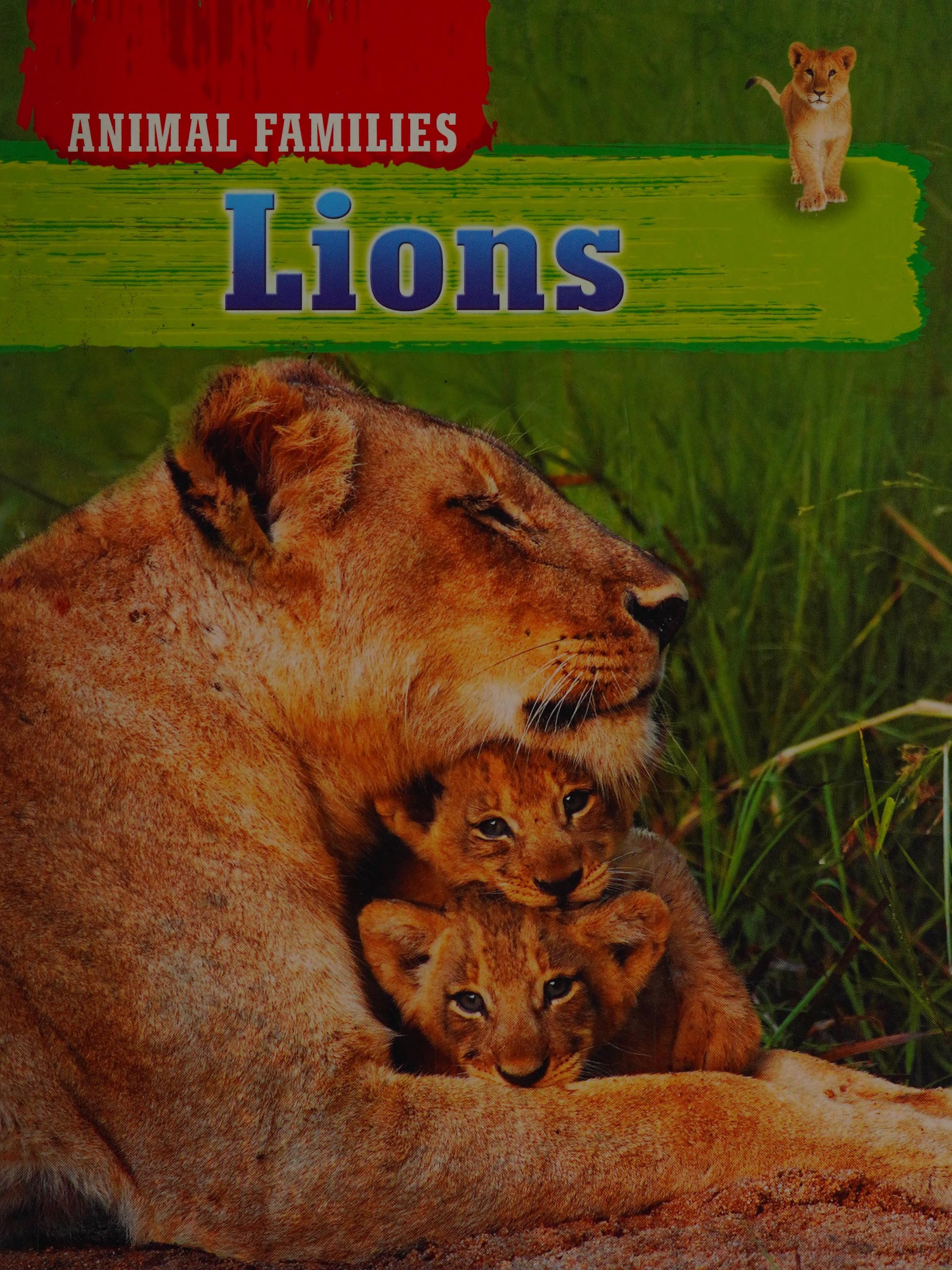 Animal Families Lions