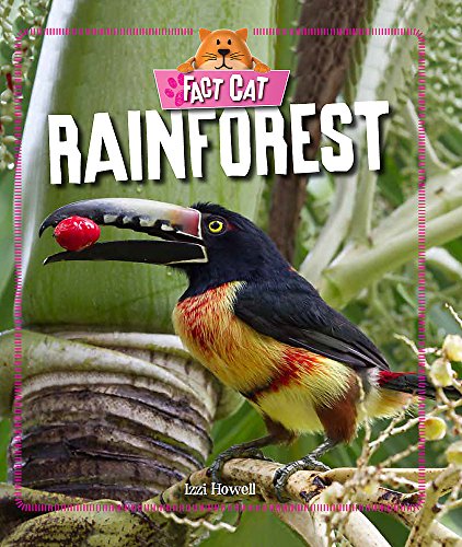 Rainforest
