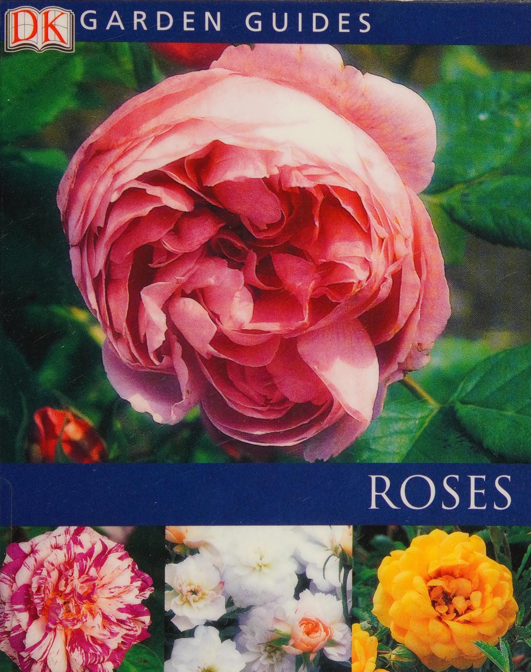Roses