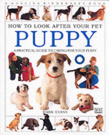 Puppy