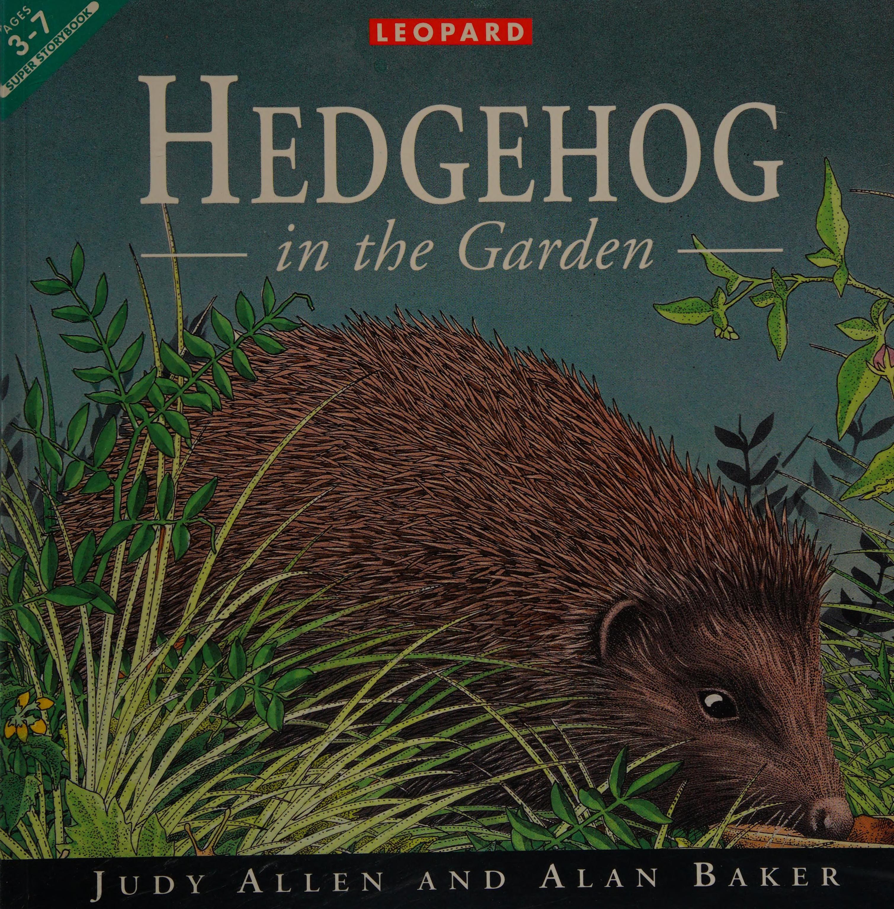 Hedgehog in the Garden