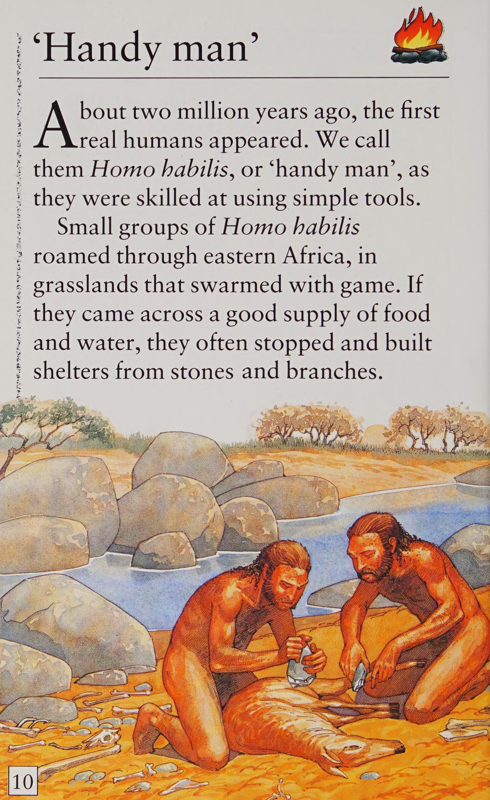 Stone Age Times