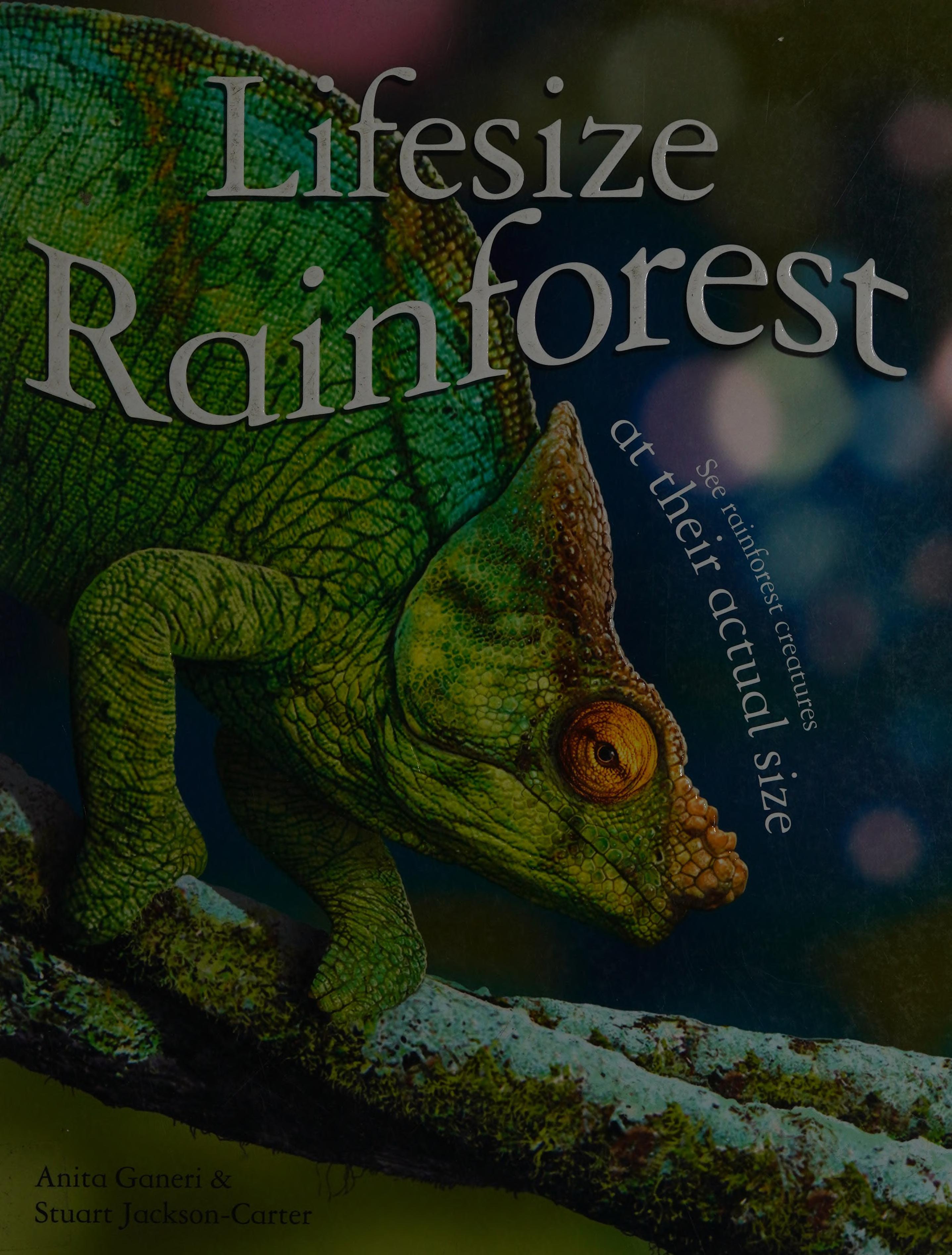 Lifesize Rainforest