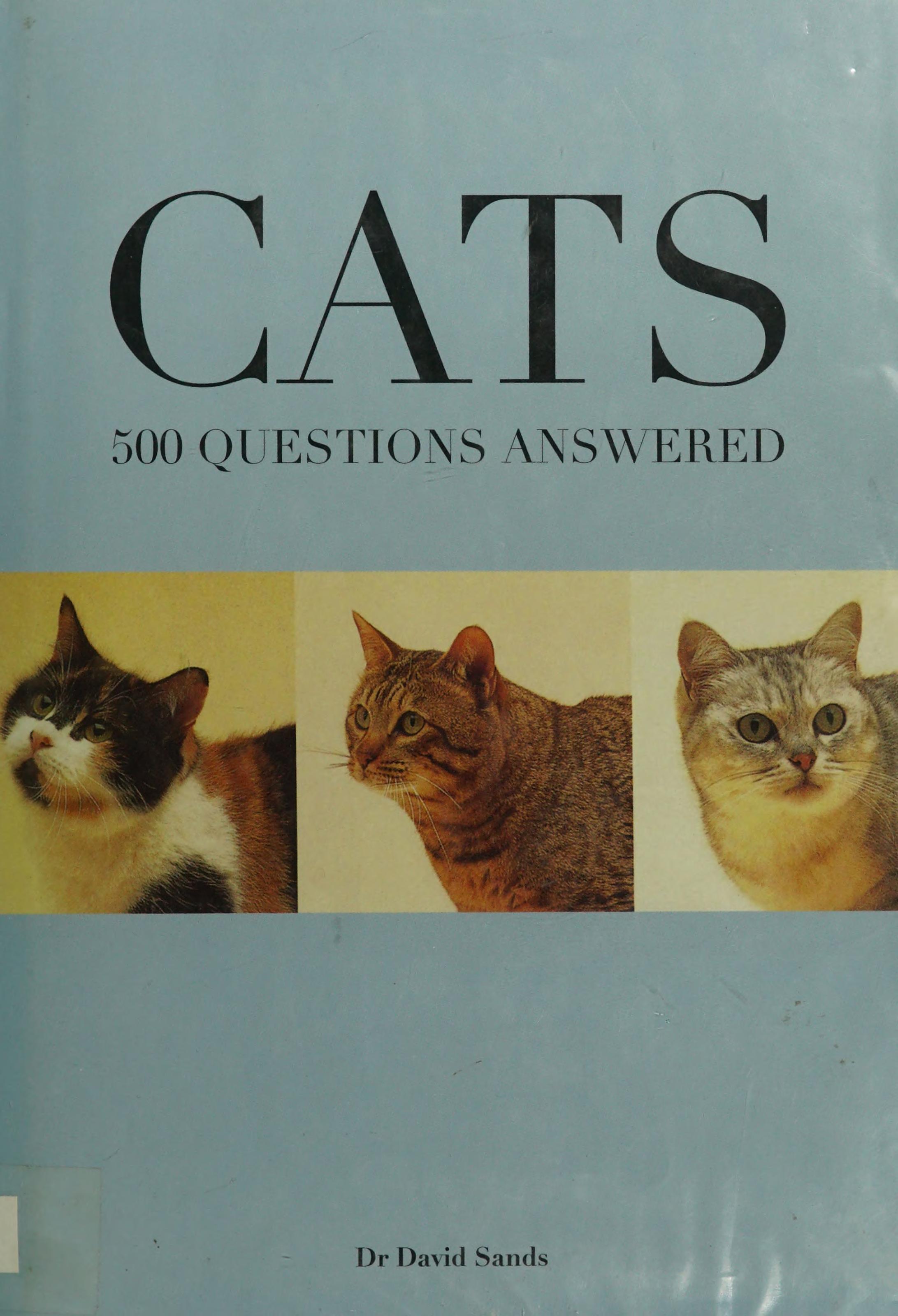 Cats 500 Questions Answered
