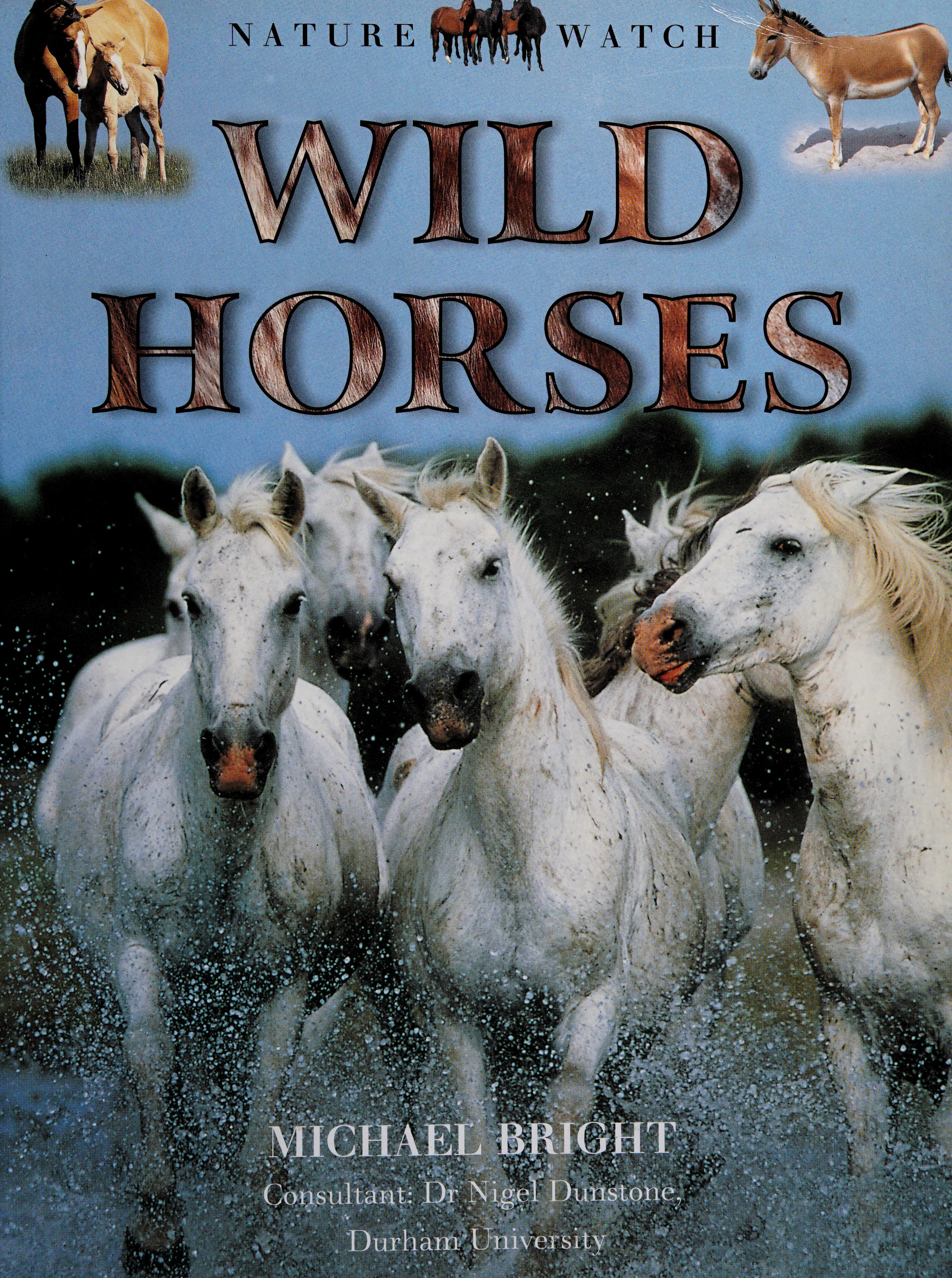 Wild Horses