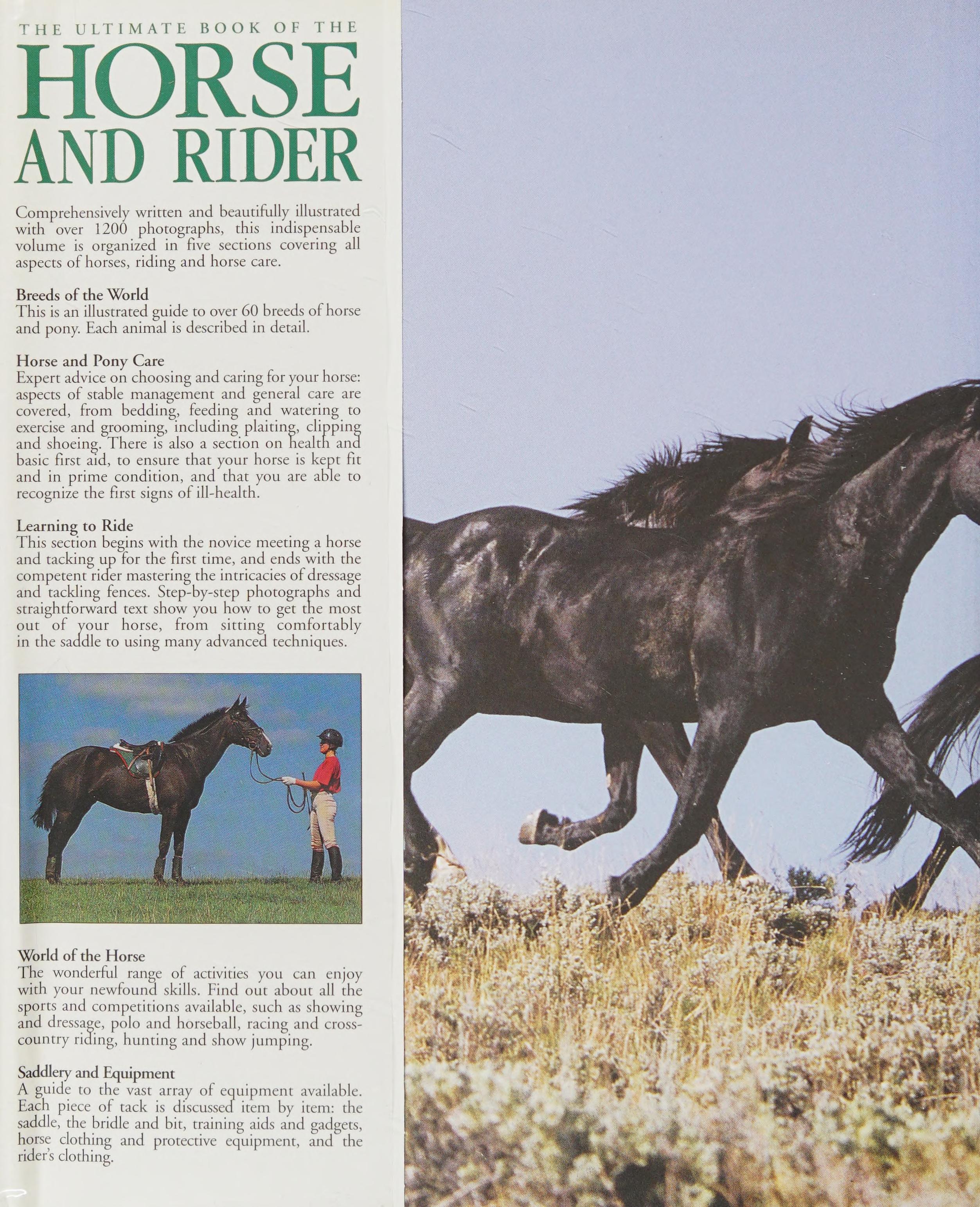 The Ultimate Book Of The Horse And Rider