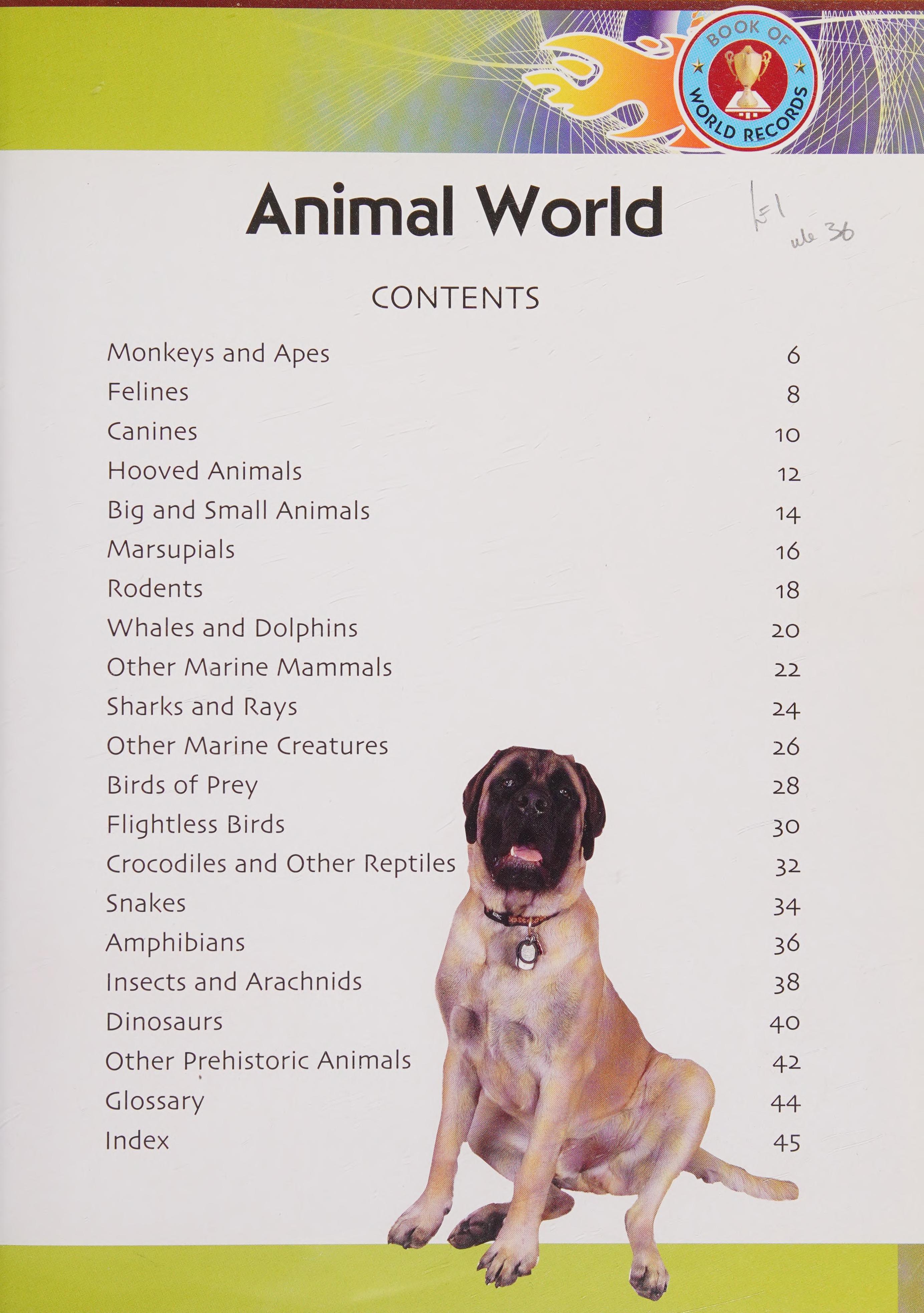 48P Omni World Records Animal Worlds