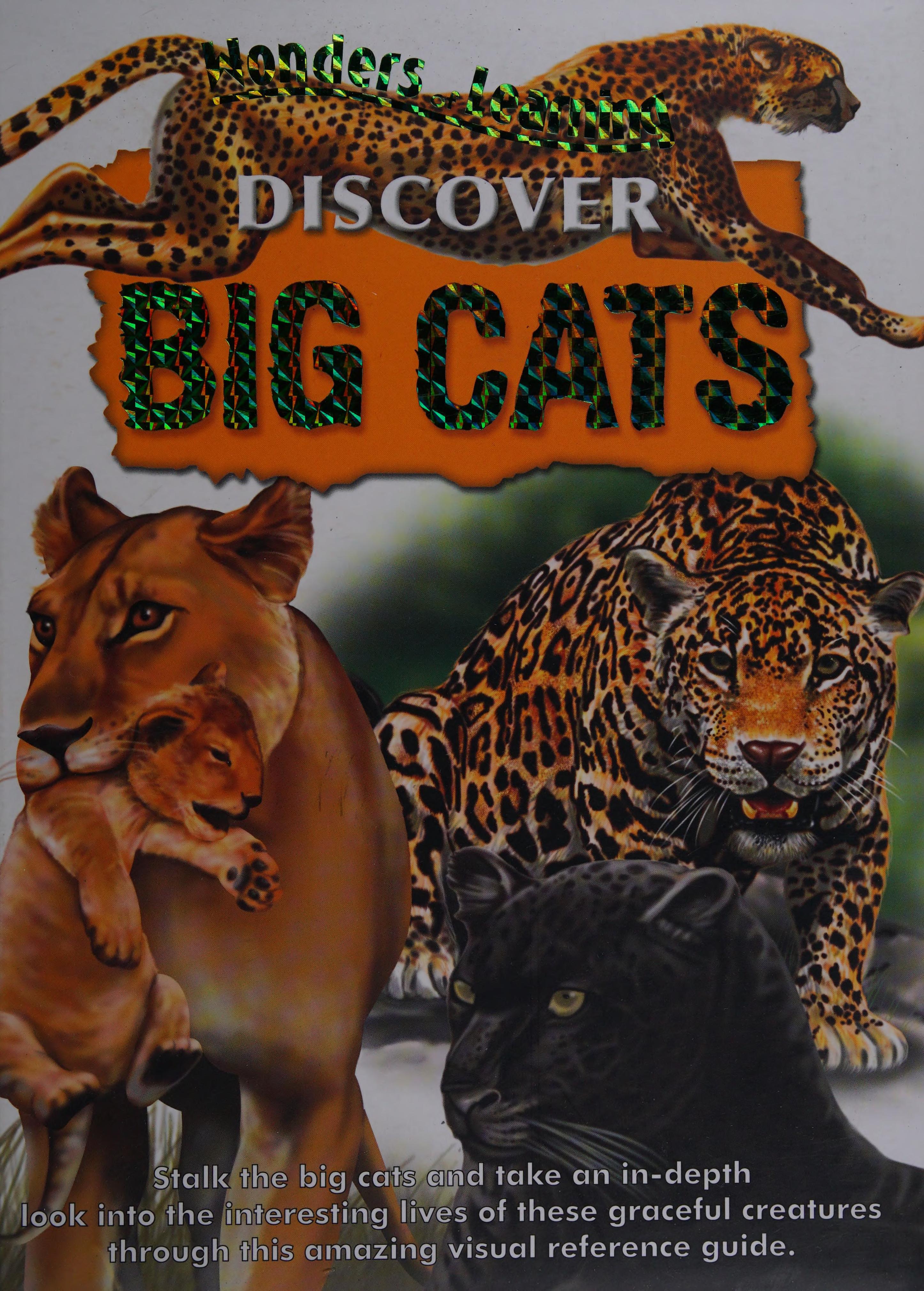 Discover Big Cats