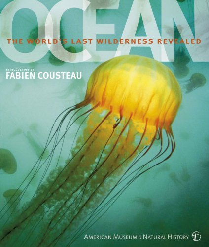 Ocean: The World'S Last Wilderness Revealed
