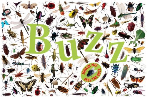 Buzz