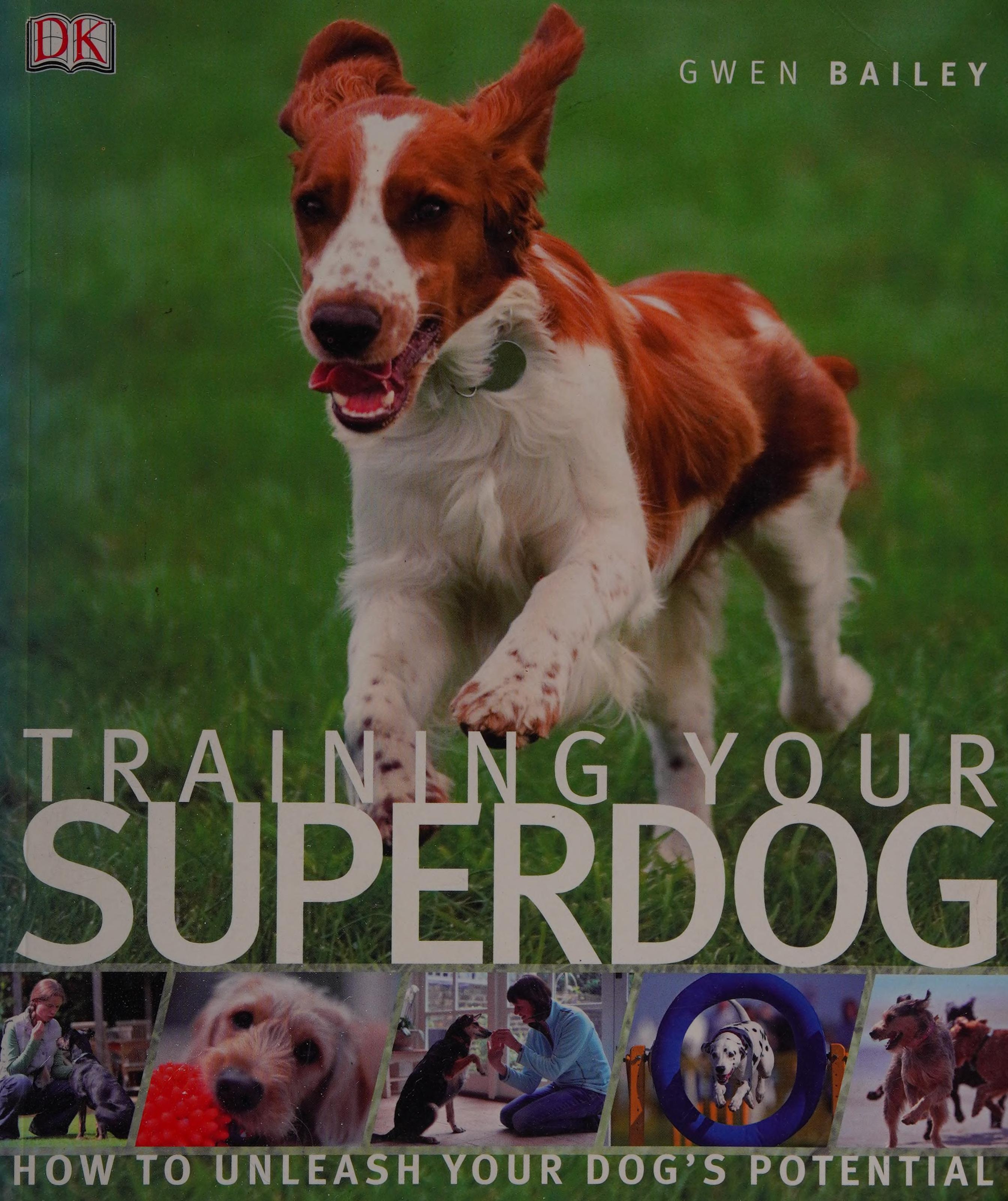 Training Your Superdog