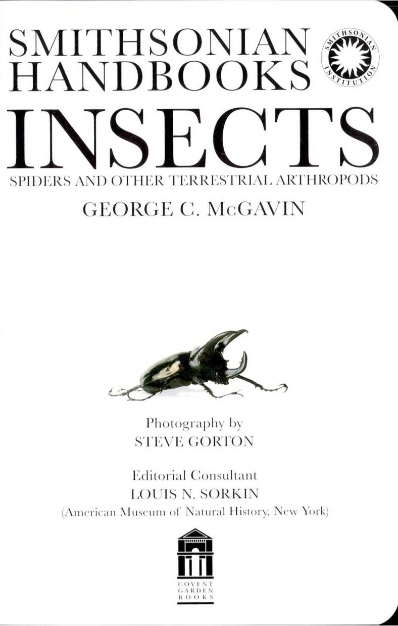 Insects - Spiders and Other Terrestrial Arthropods - Smithsonian Handbooks