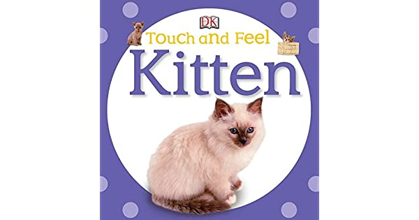 Touch and Feel: Kitten