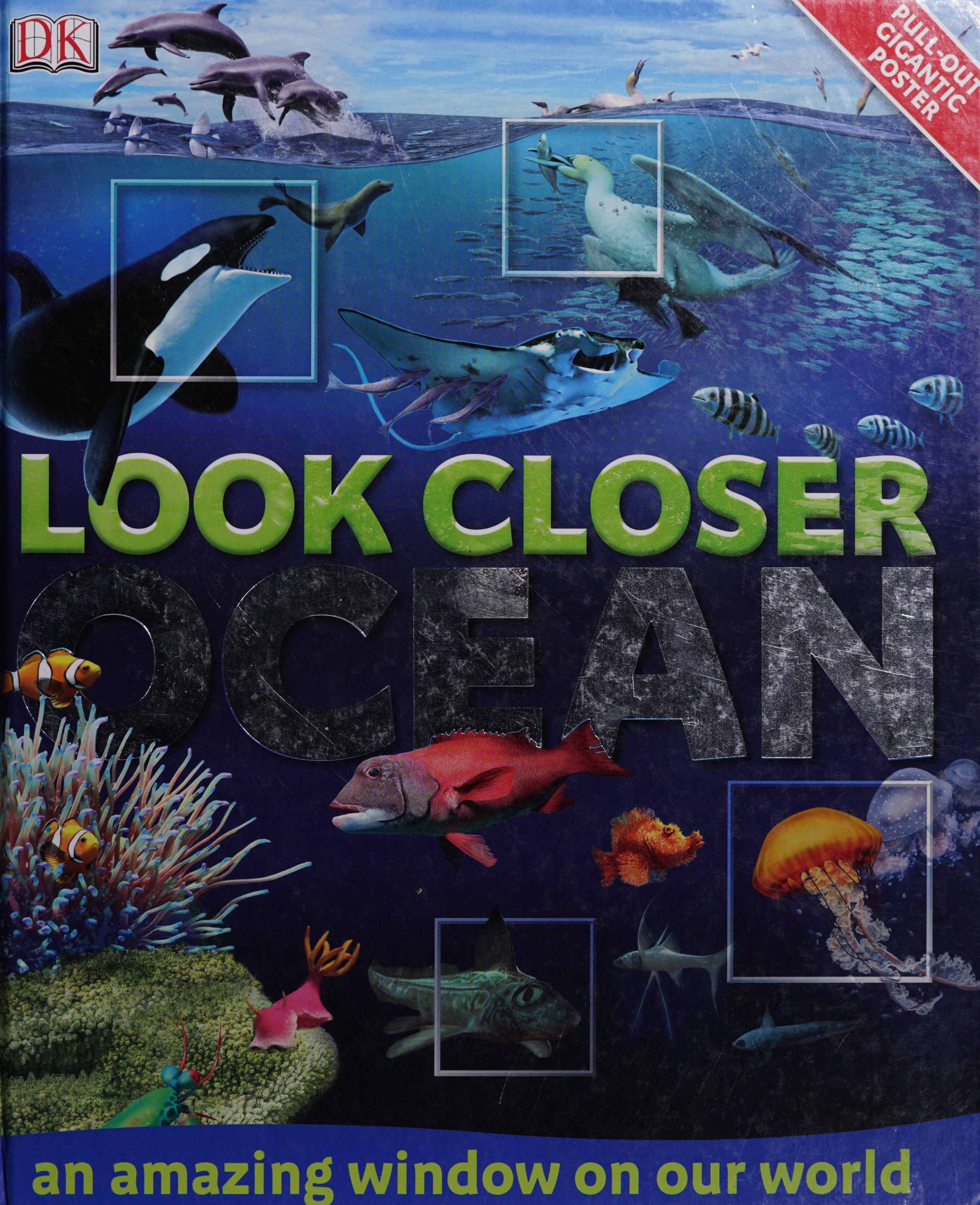 Look Closer