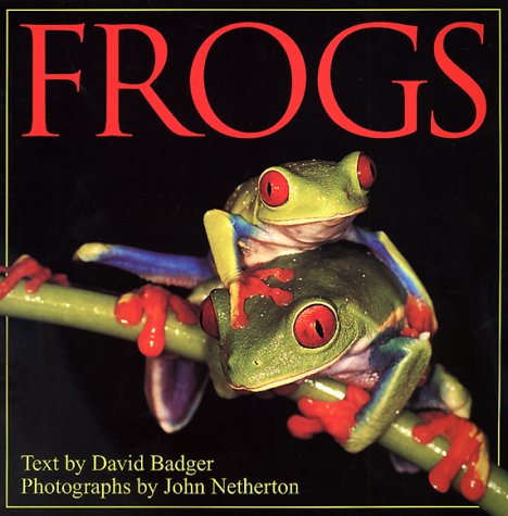 Frogs