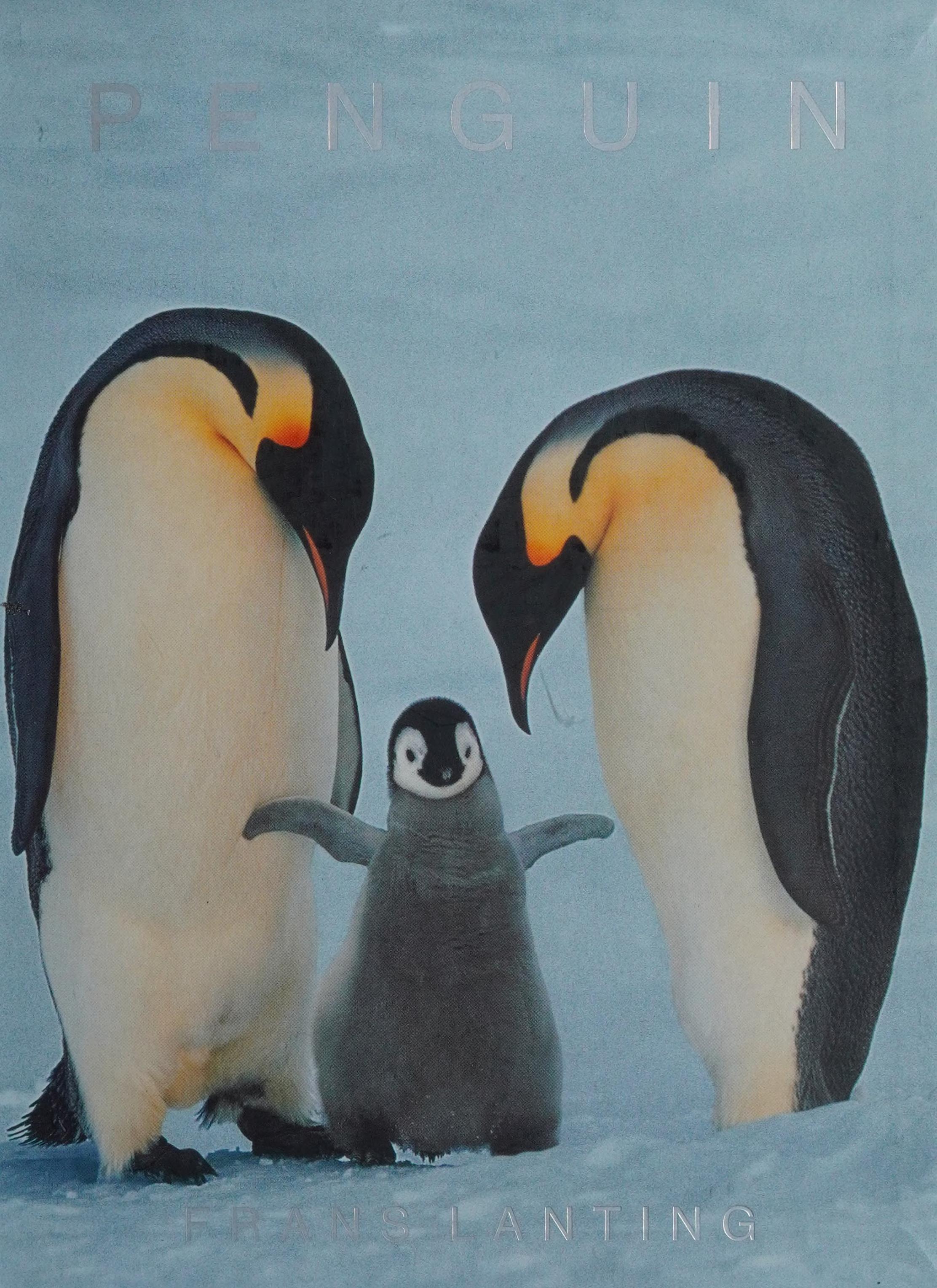 Lanting Penguin