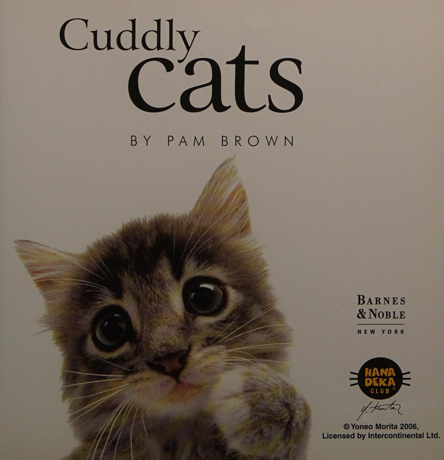 Cuddly Cats
