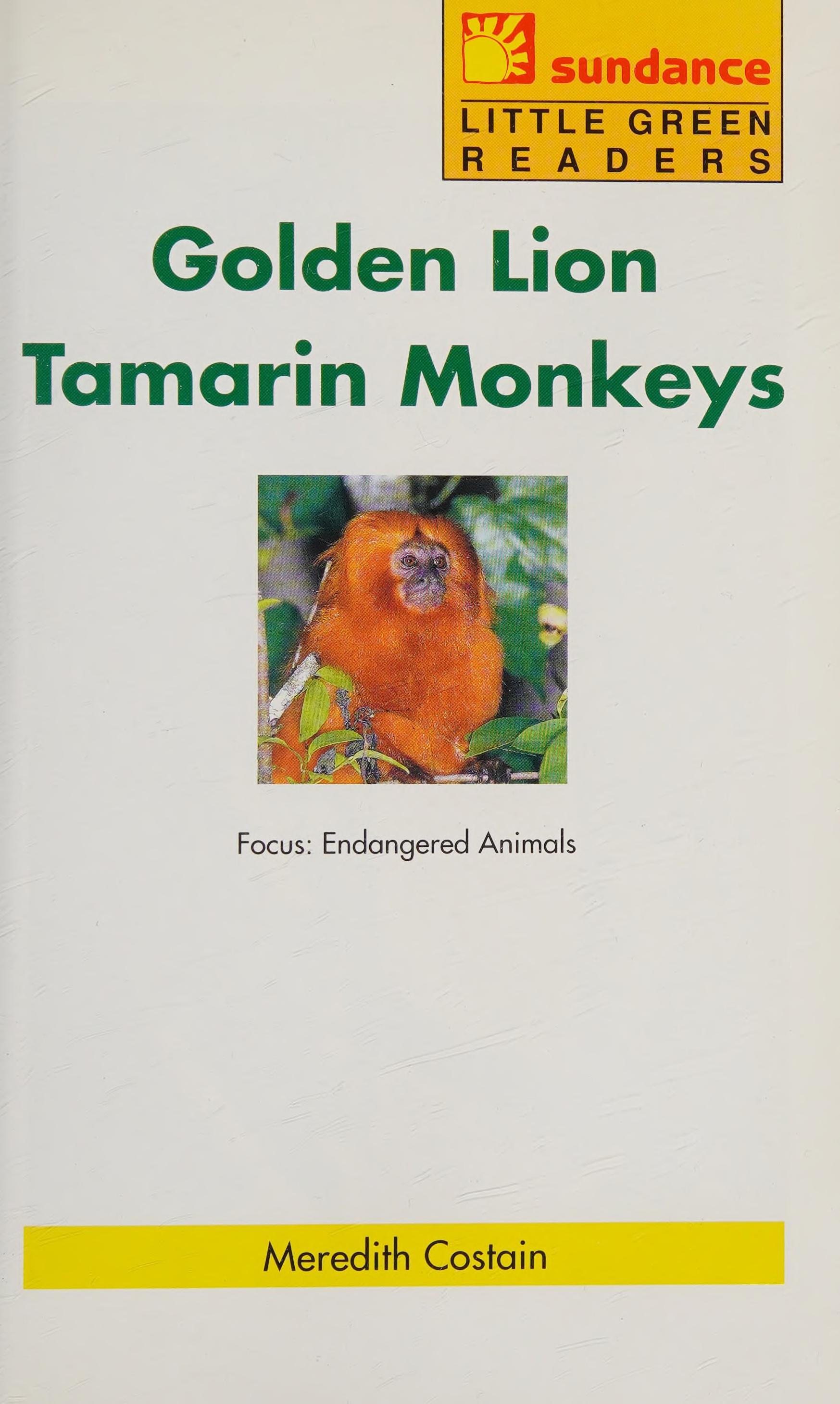 Golden Lion Tamarin Monkeys