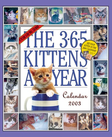 365 Kittens-a-Year 2003 Calendar