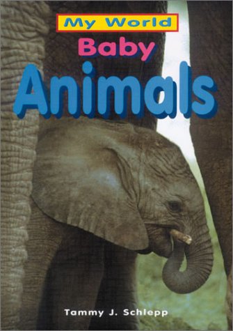 Baby Animals