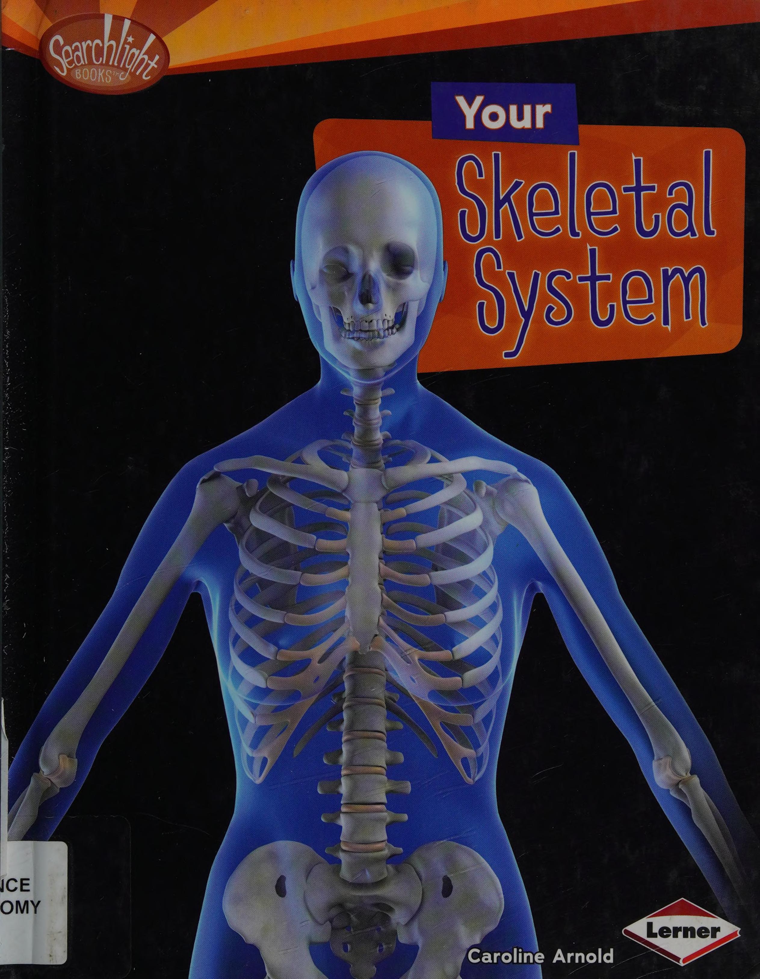 Your Skeletal System
