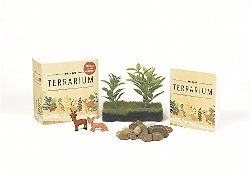 Desktop Terrarium