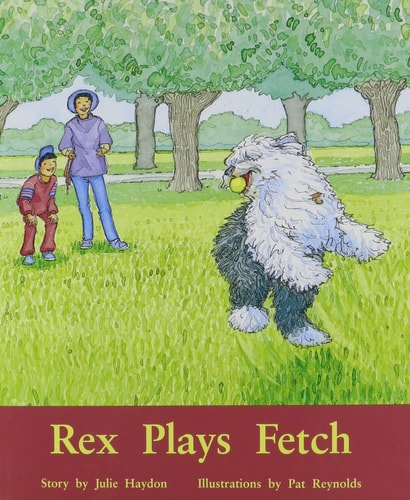 Rex Plays Fetch