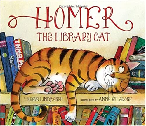 Homer the Library cat