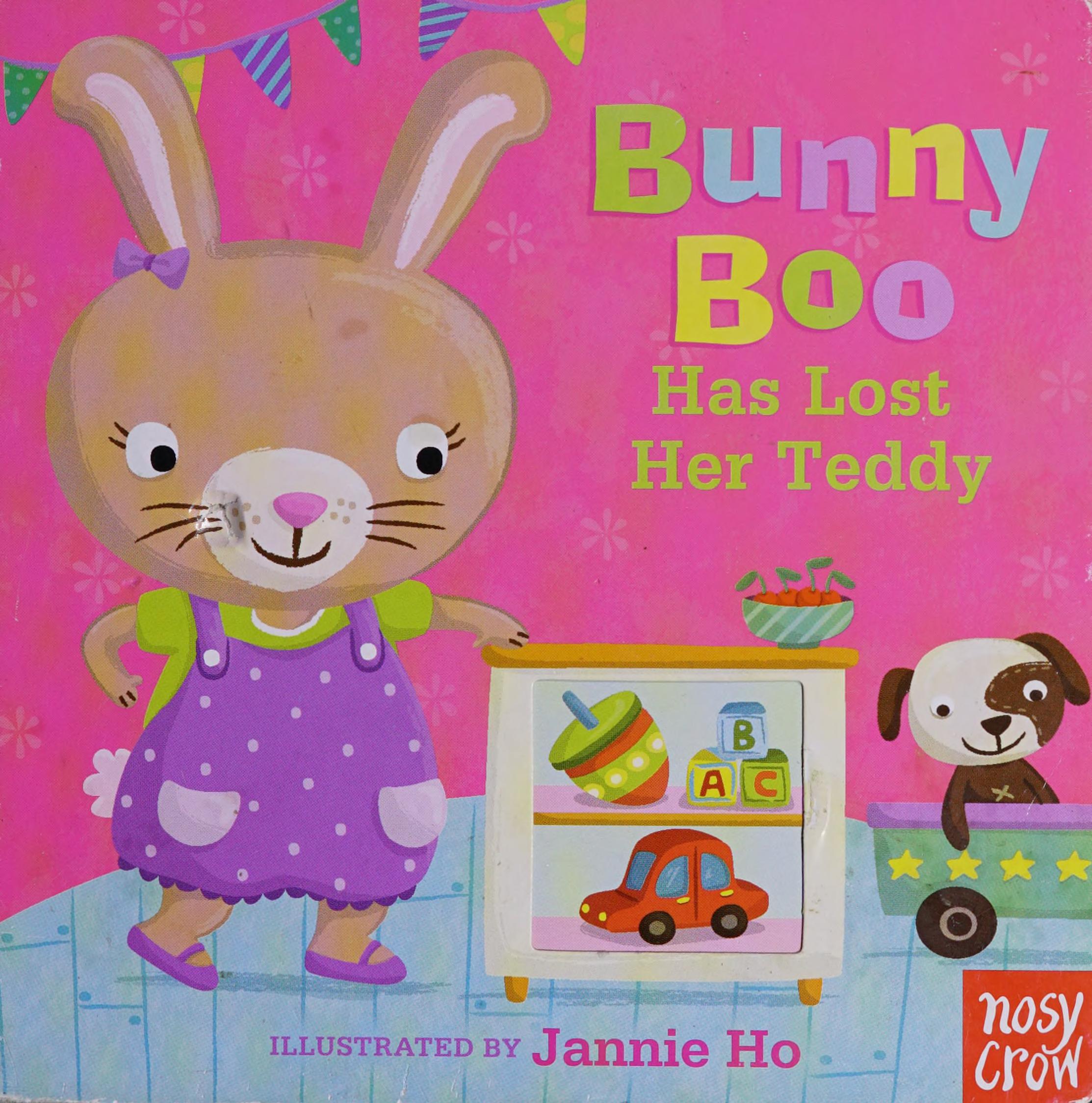 Bunny Boo Has Lost Her Teddy