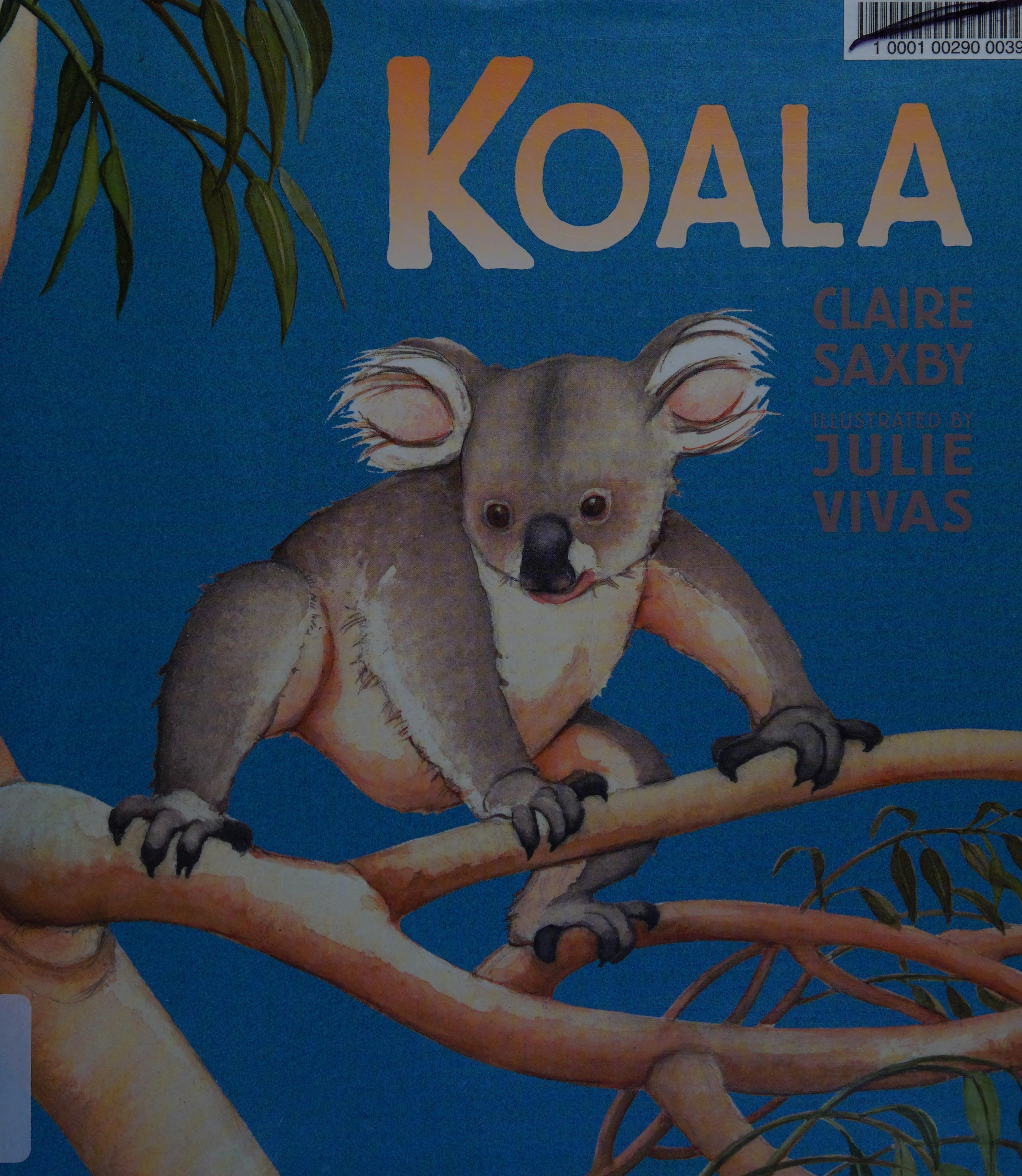 Koala