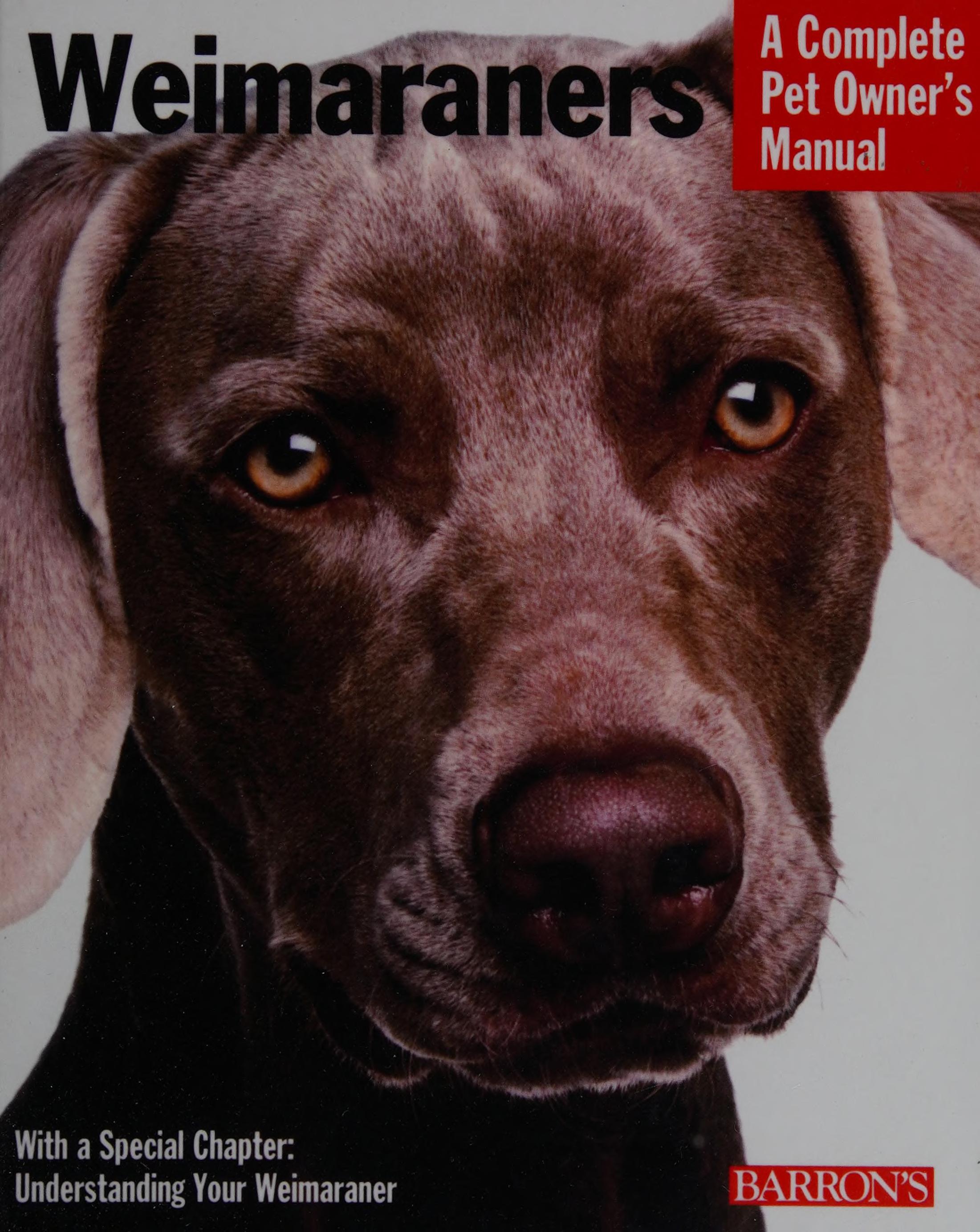 Weimaraners