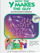 How the y Makes the Guy