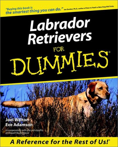 Labrador retrievers for dummies