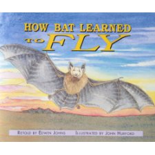 How Bat Learned to Fly