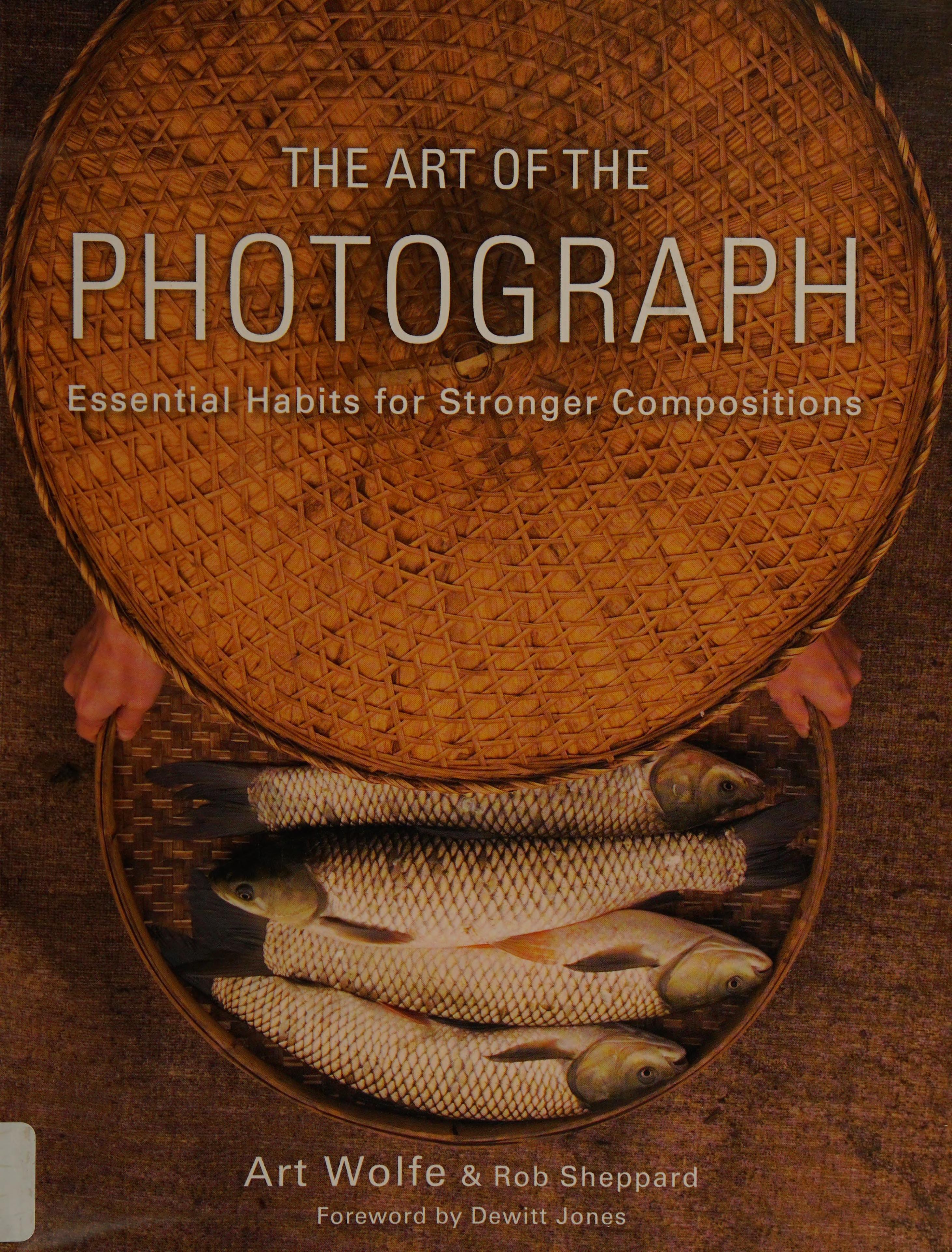The Art of the Photograph
