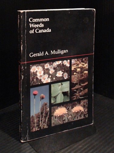 Common Weeds Of Canada