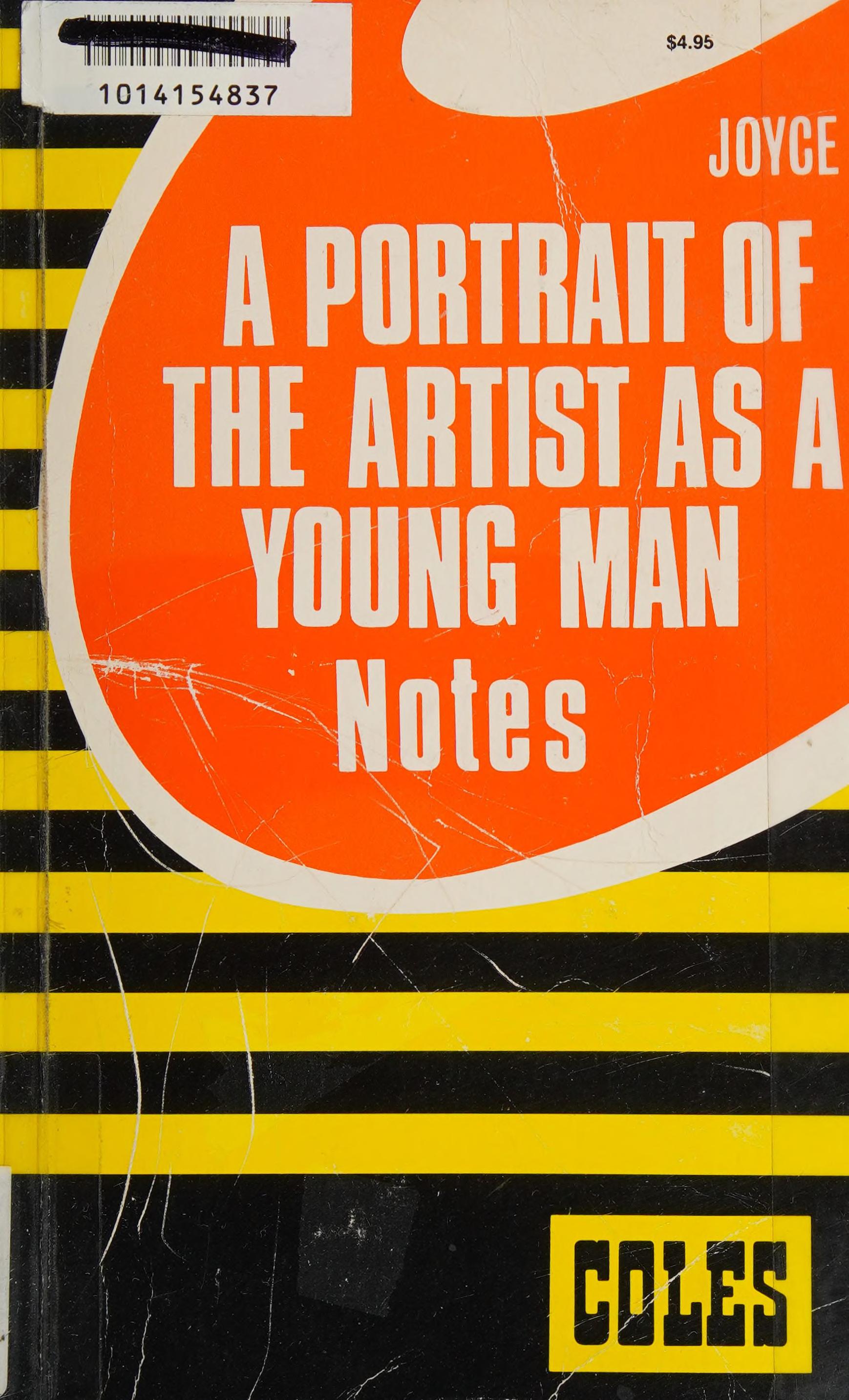 A Portrait Of The Artist As A Young Man