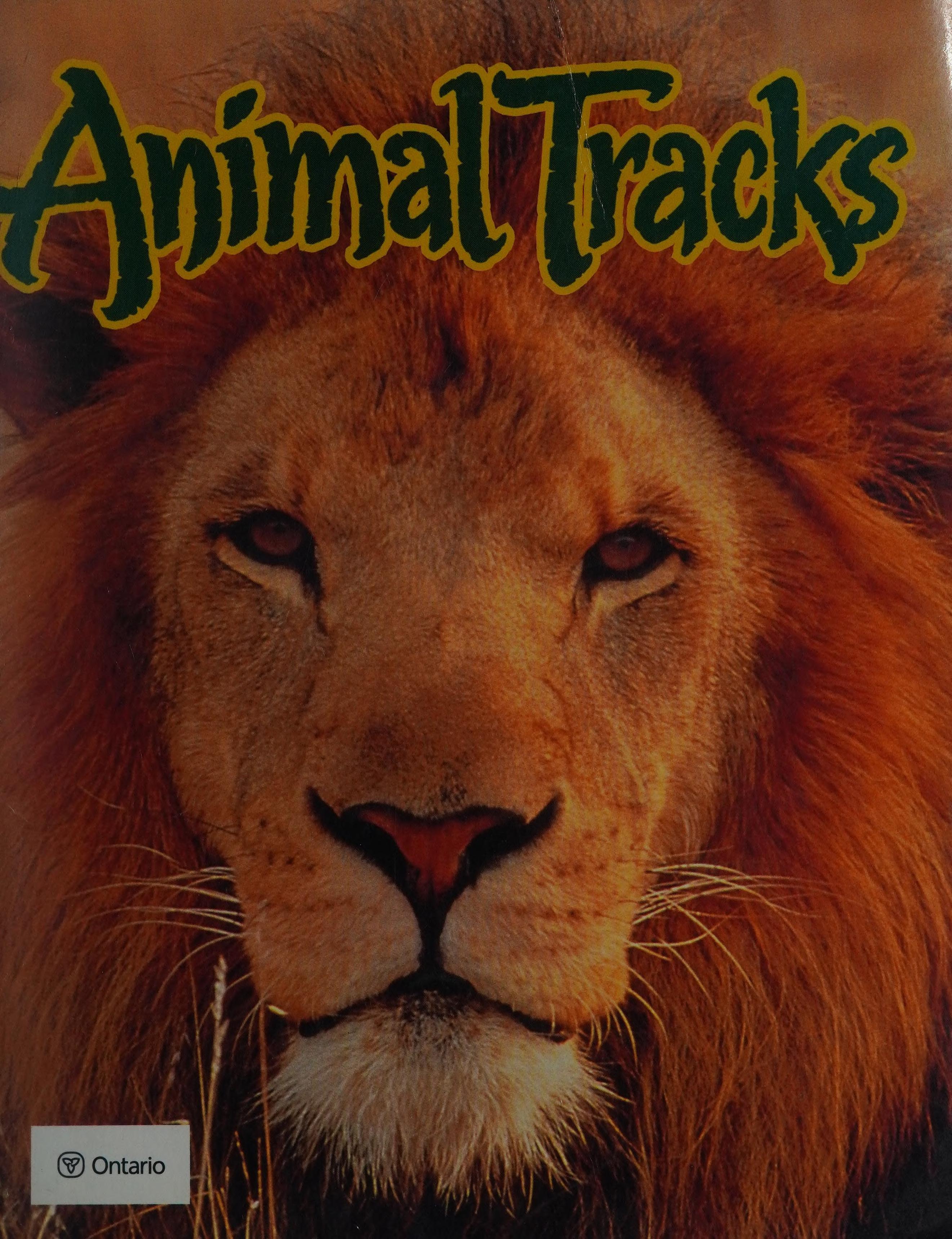 Animal Tracks