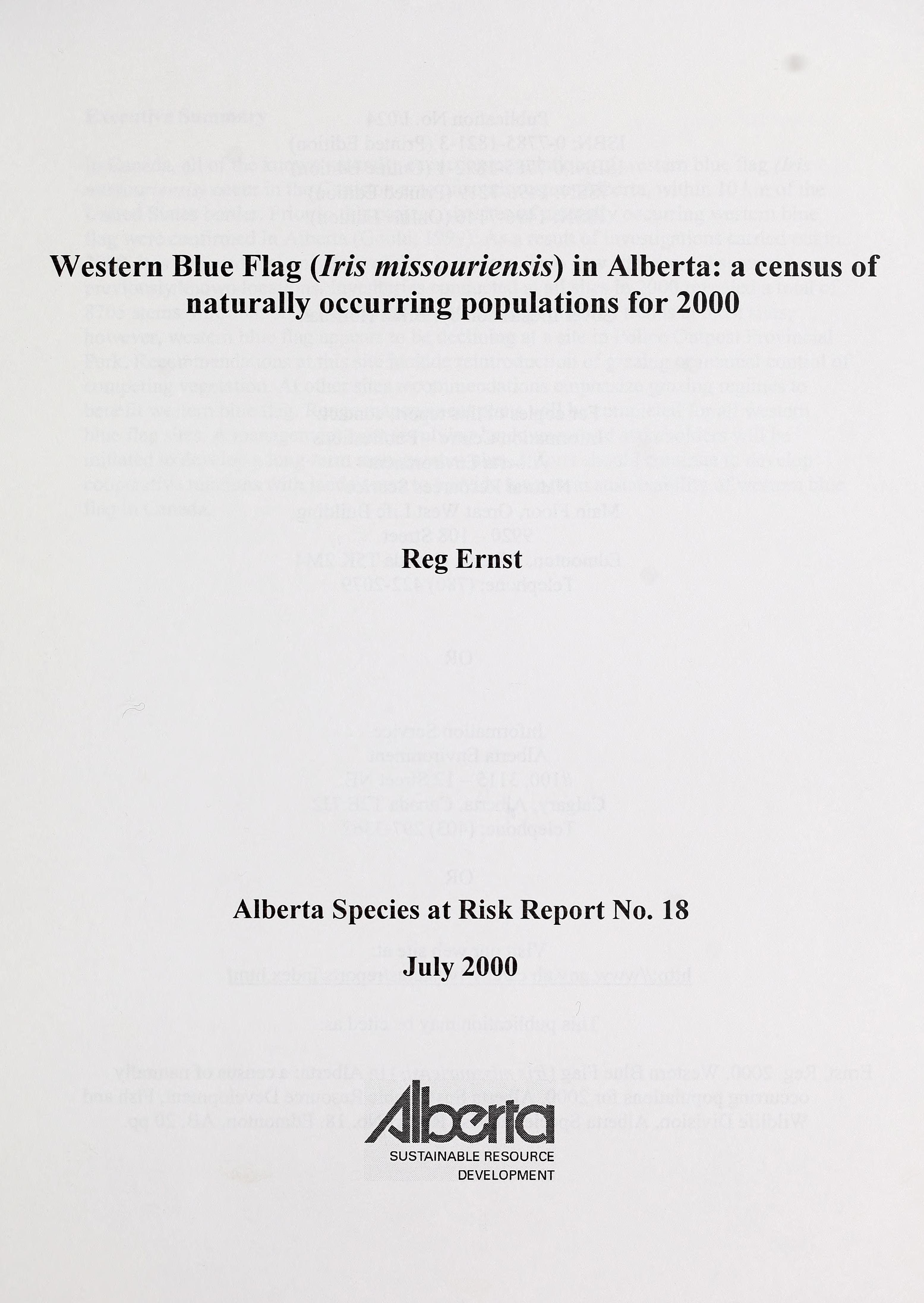 Western Blue Flag (Iris Missouriensis) in Alberta