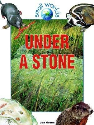 Under a Stone