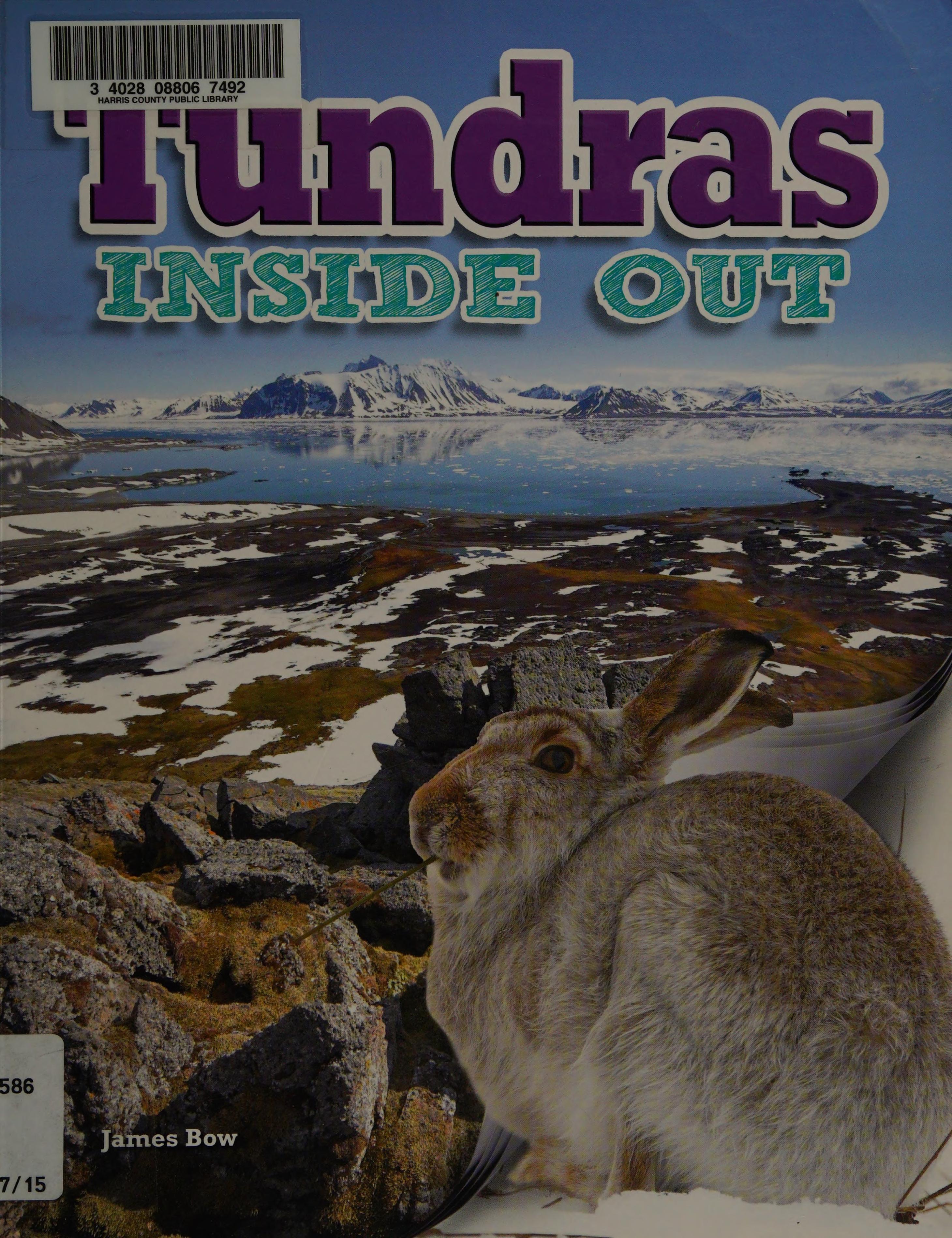 Tundras Inside Out