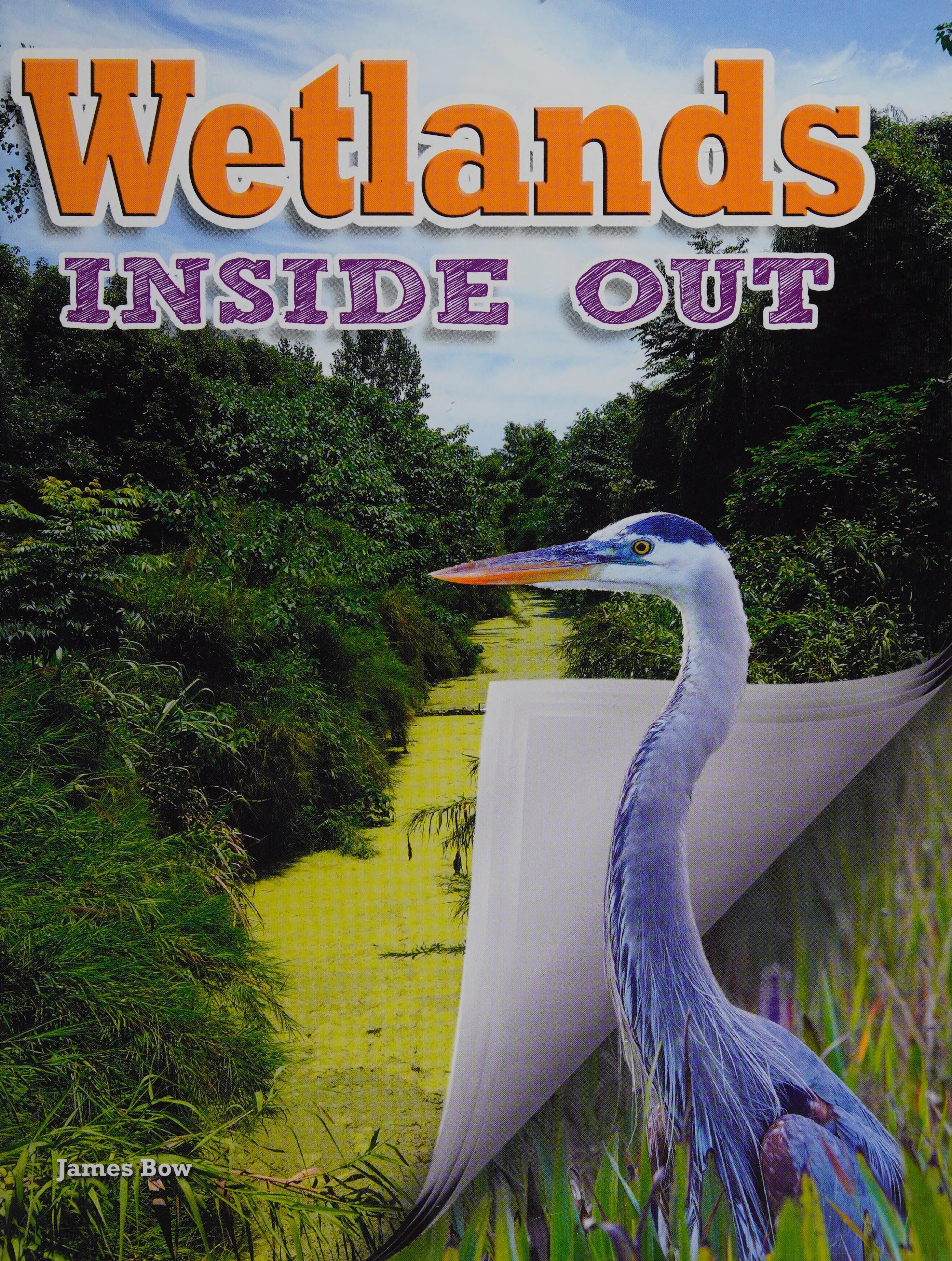 Wetlands Inside Out