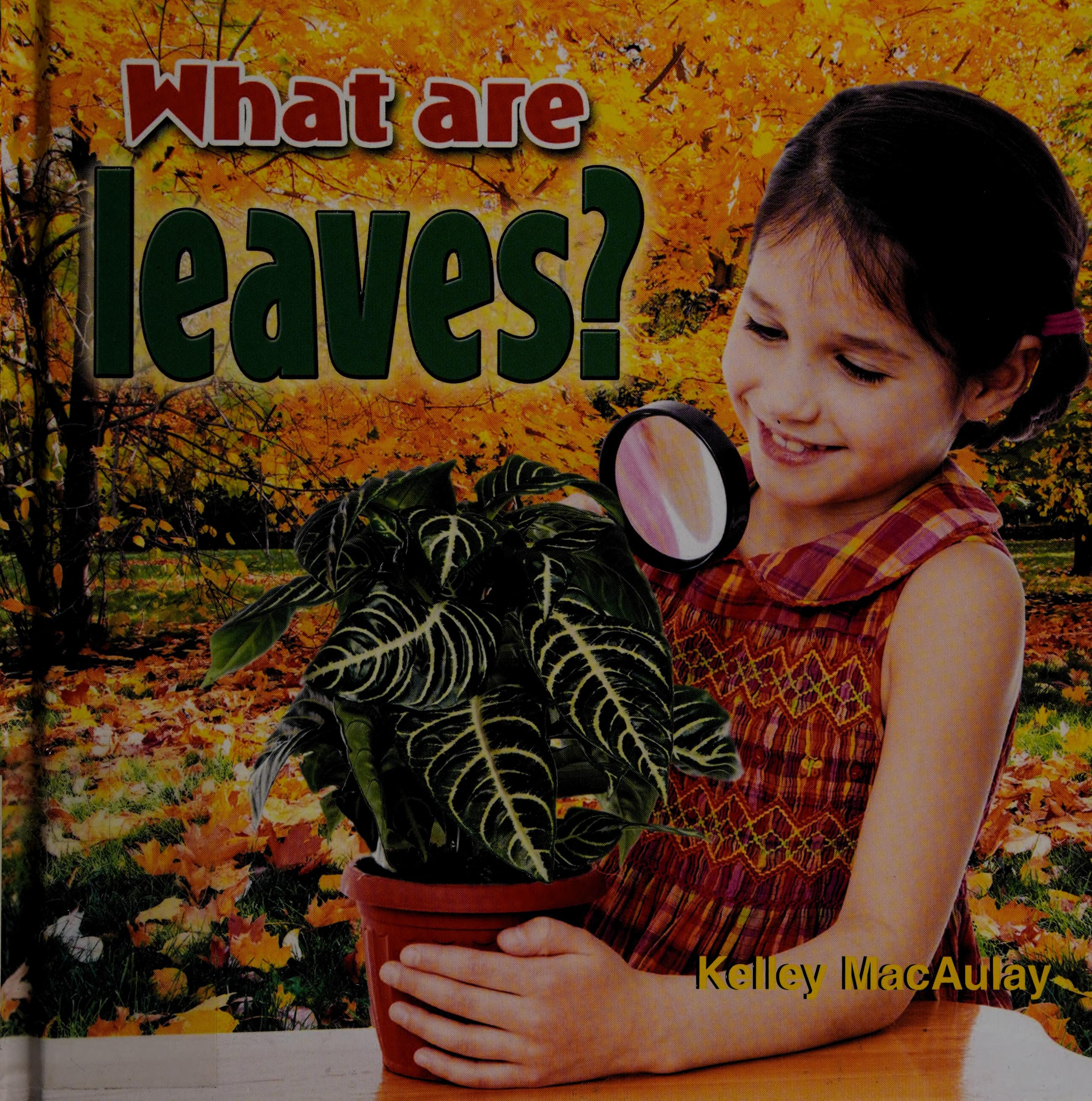 What Are Leaves?