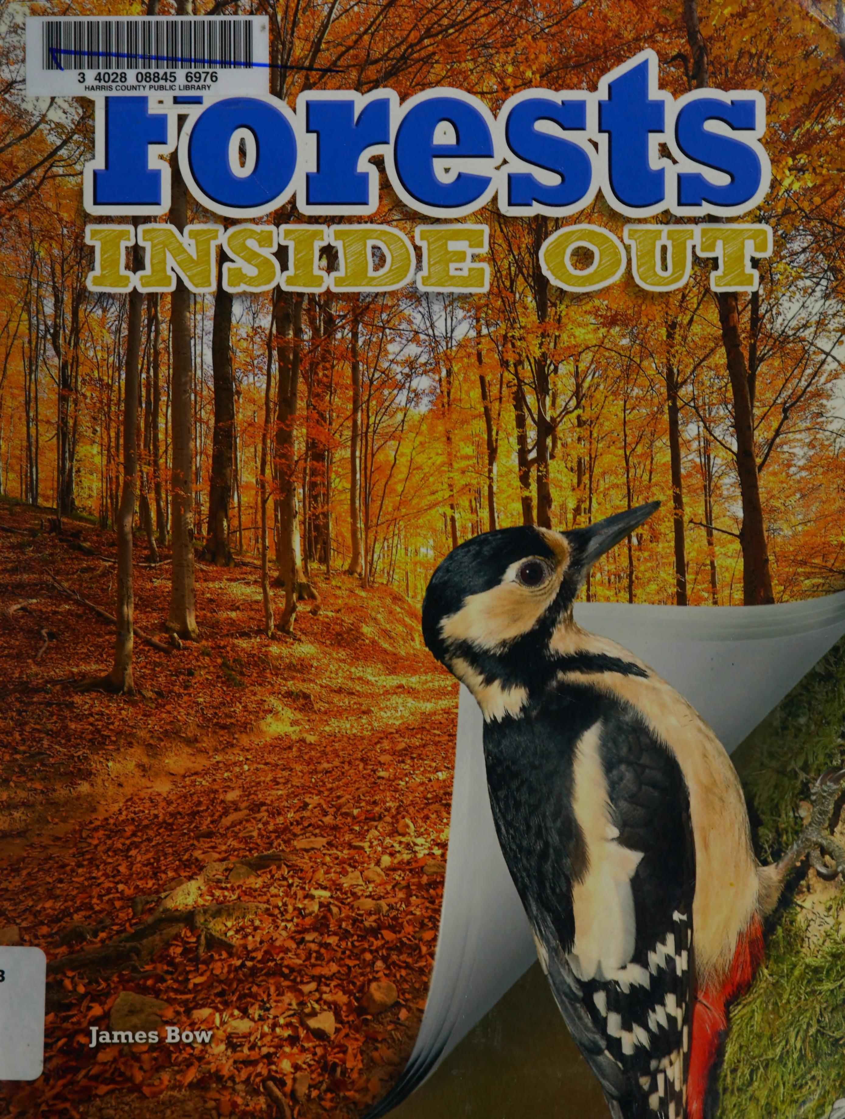 Forests Inside Out