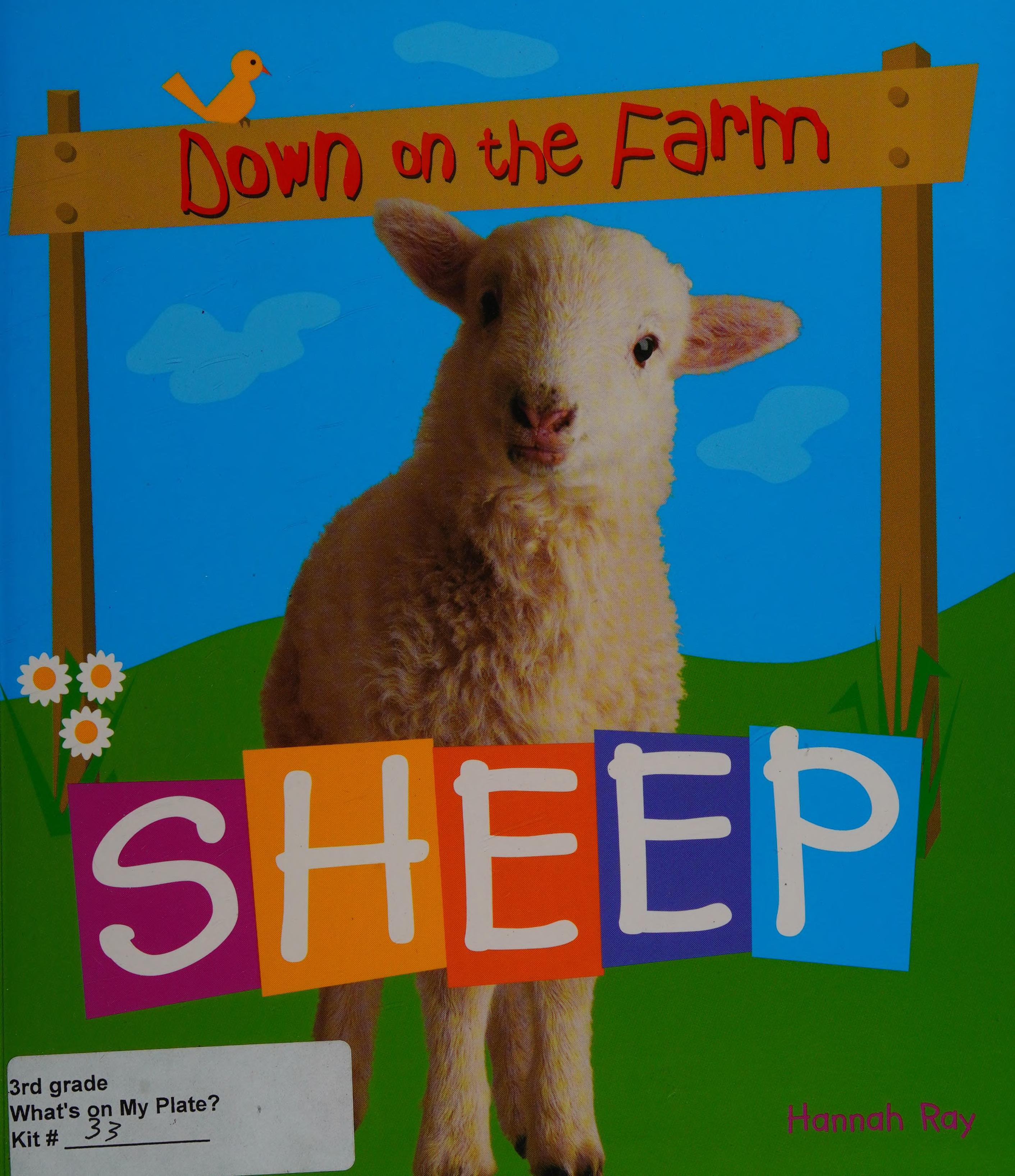 Sheep