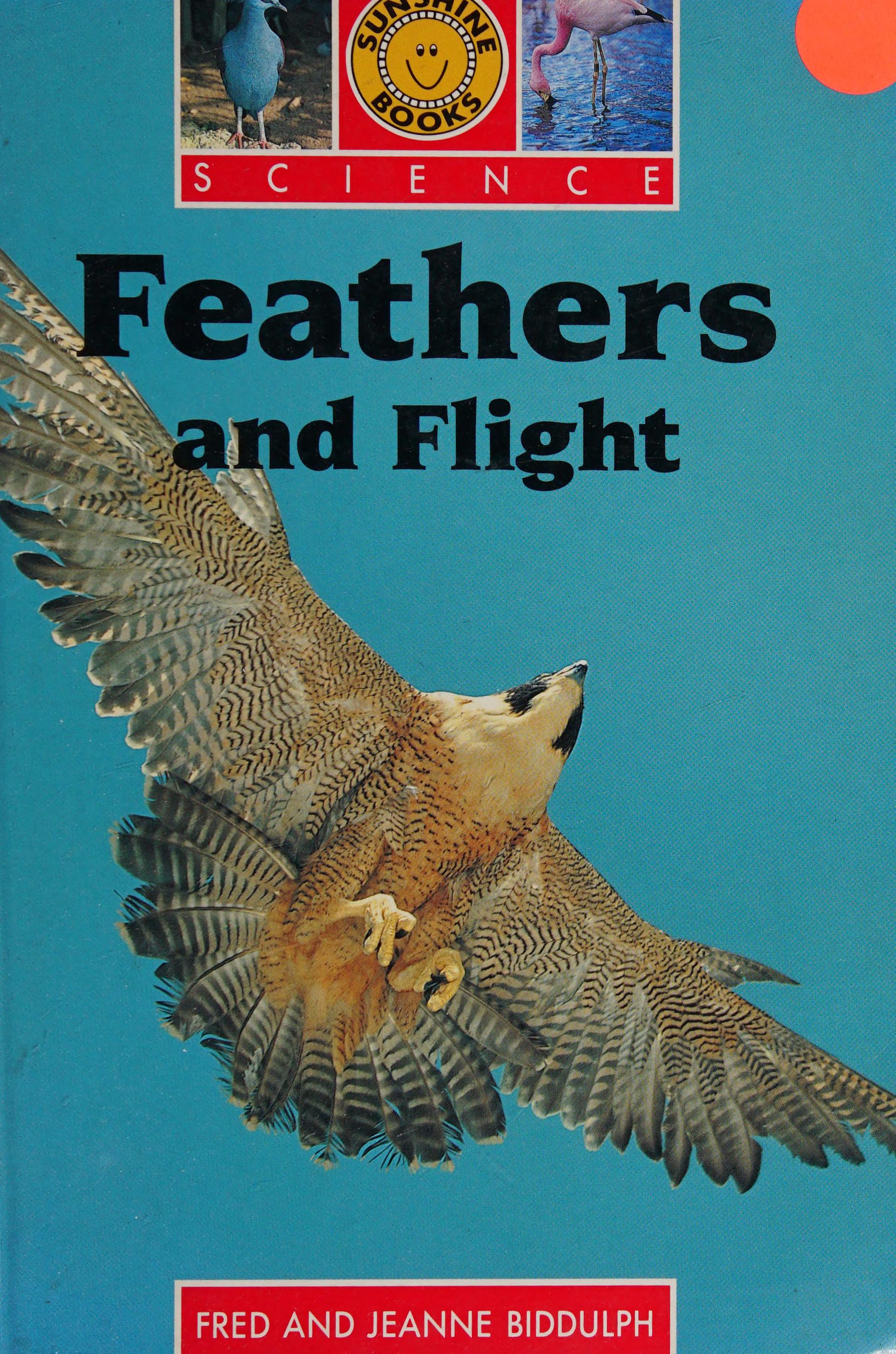 Feathers and Flight