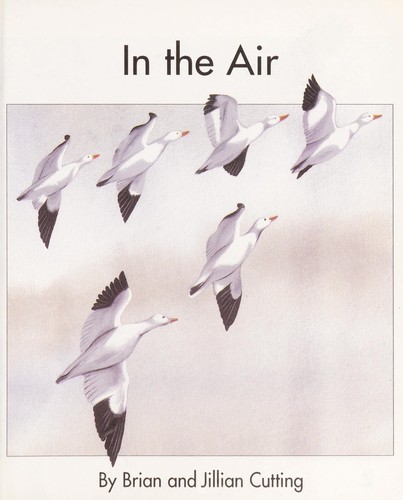 In the Air