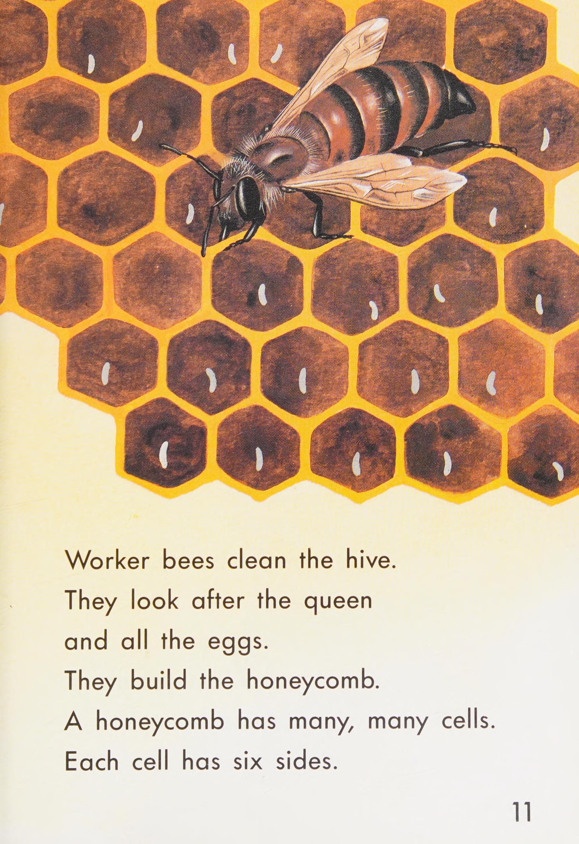 Honey Bees